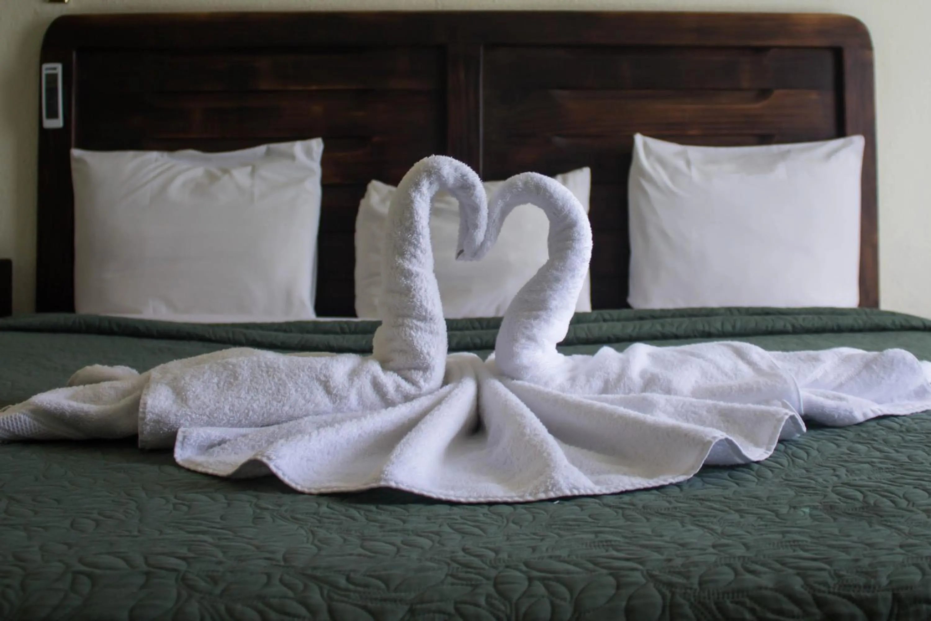 Bed in Nuevo Maragato Hotel & Hostel