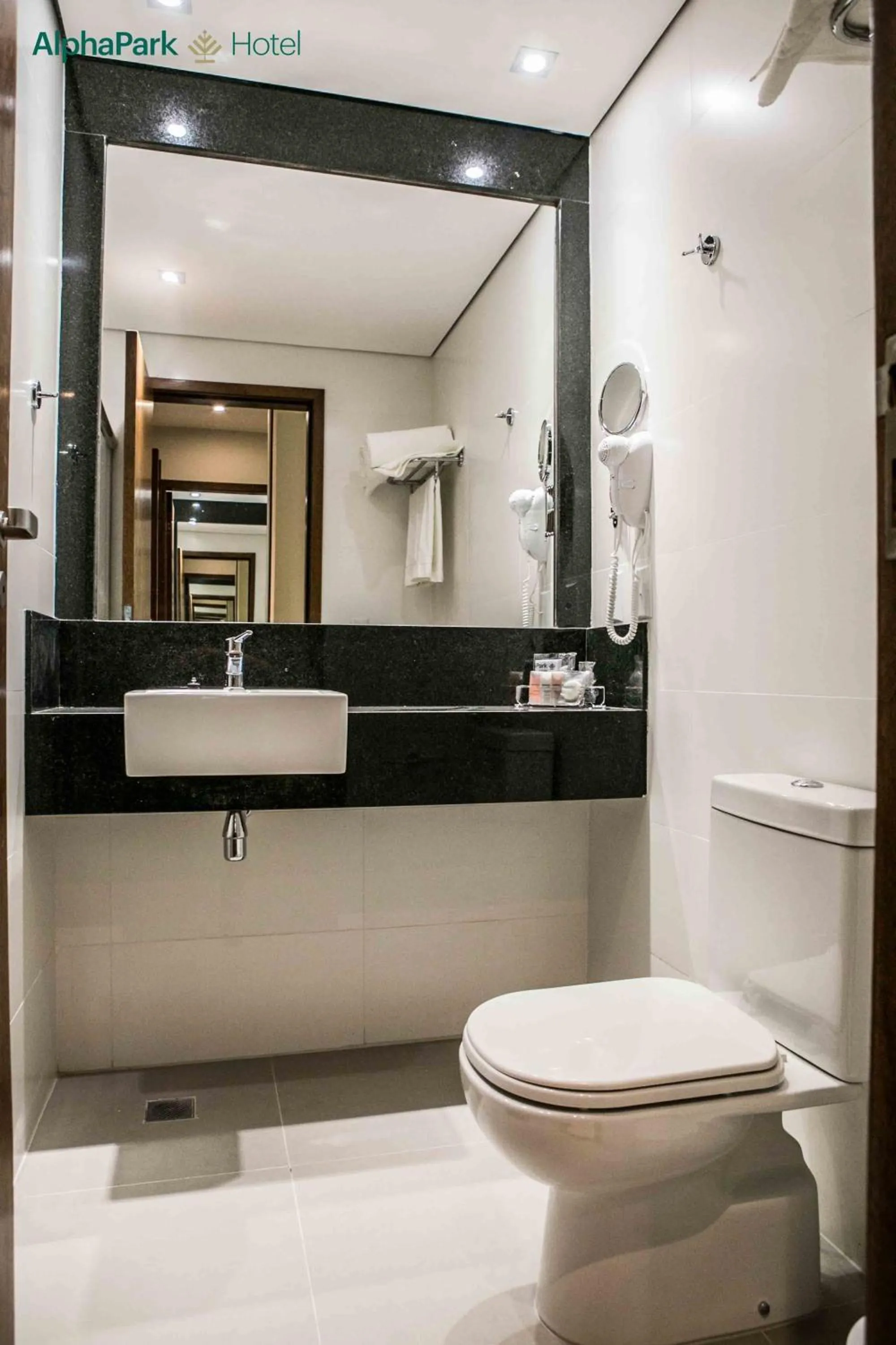 Toilet in AlphaPark Hotel