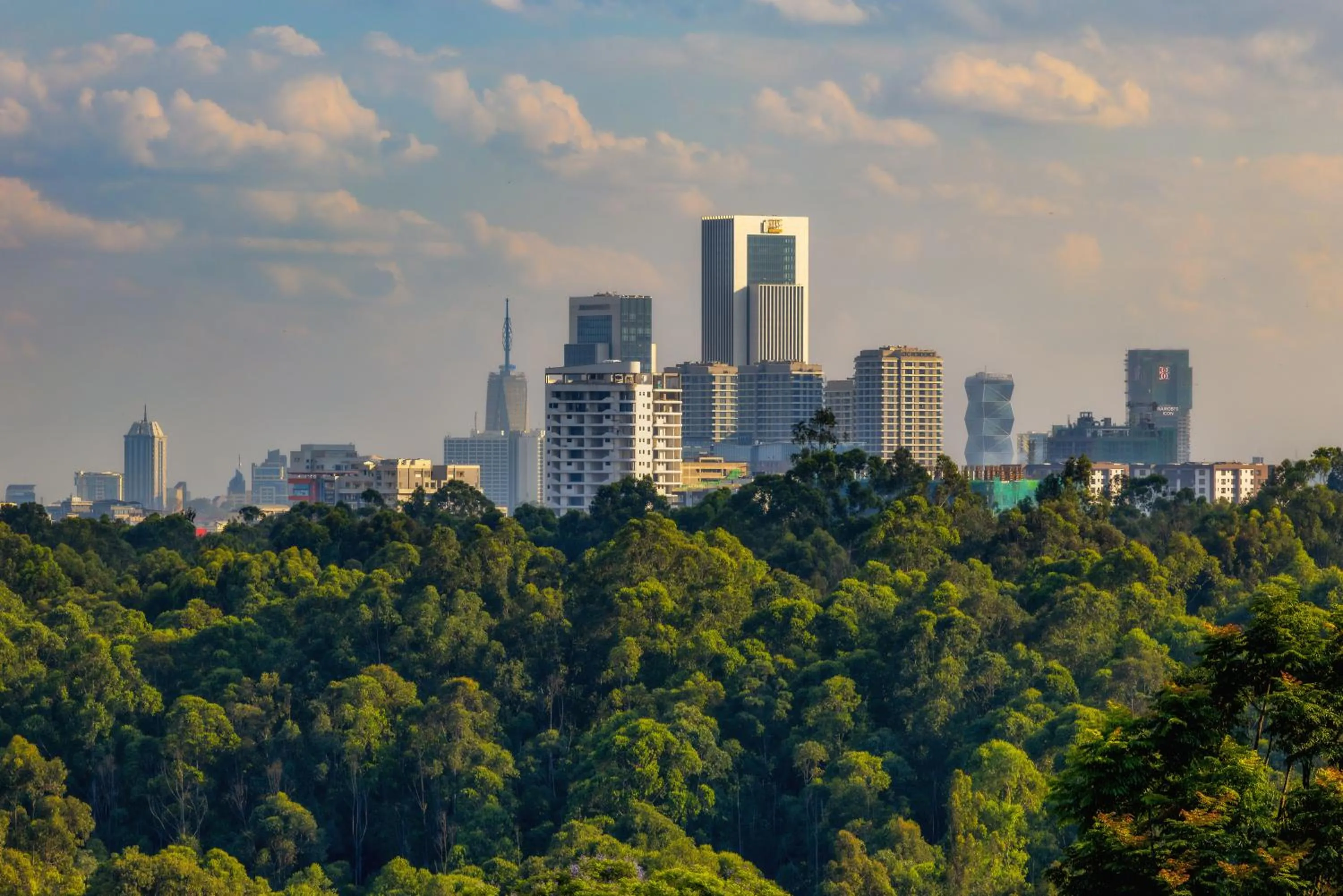 View (from property/room) in Gem Forest Hotel Nairobi - MGallery Collection