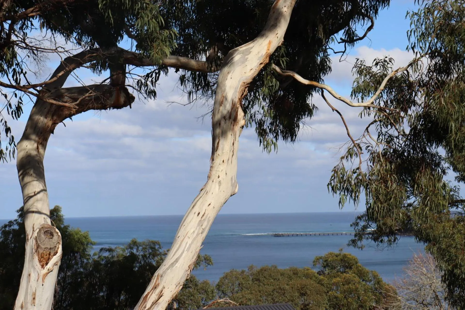 Sea view in Lorne Surf Apartments