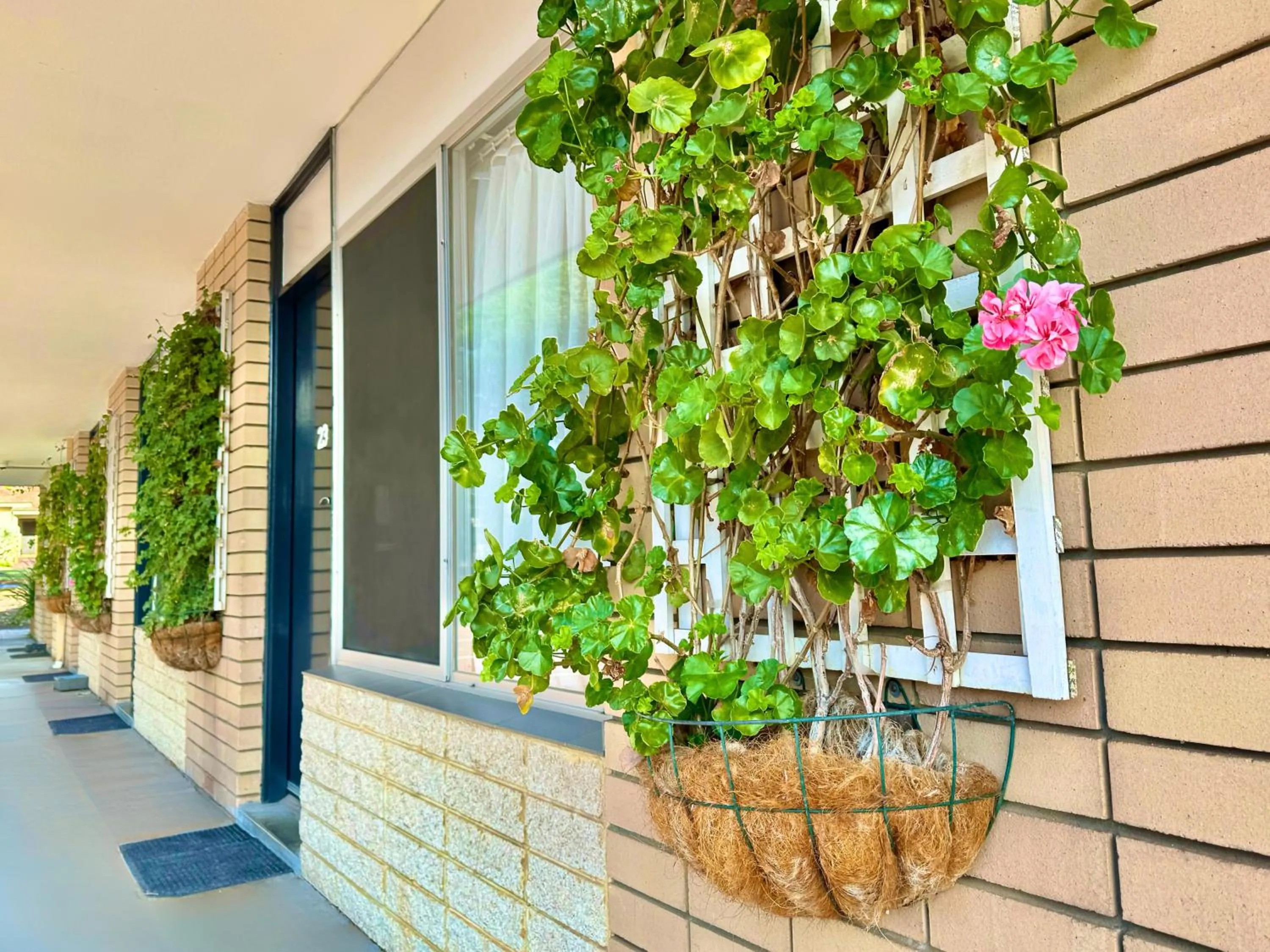 Property building in Flag Motor Lodge