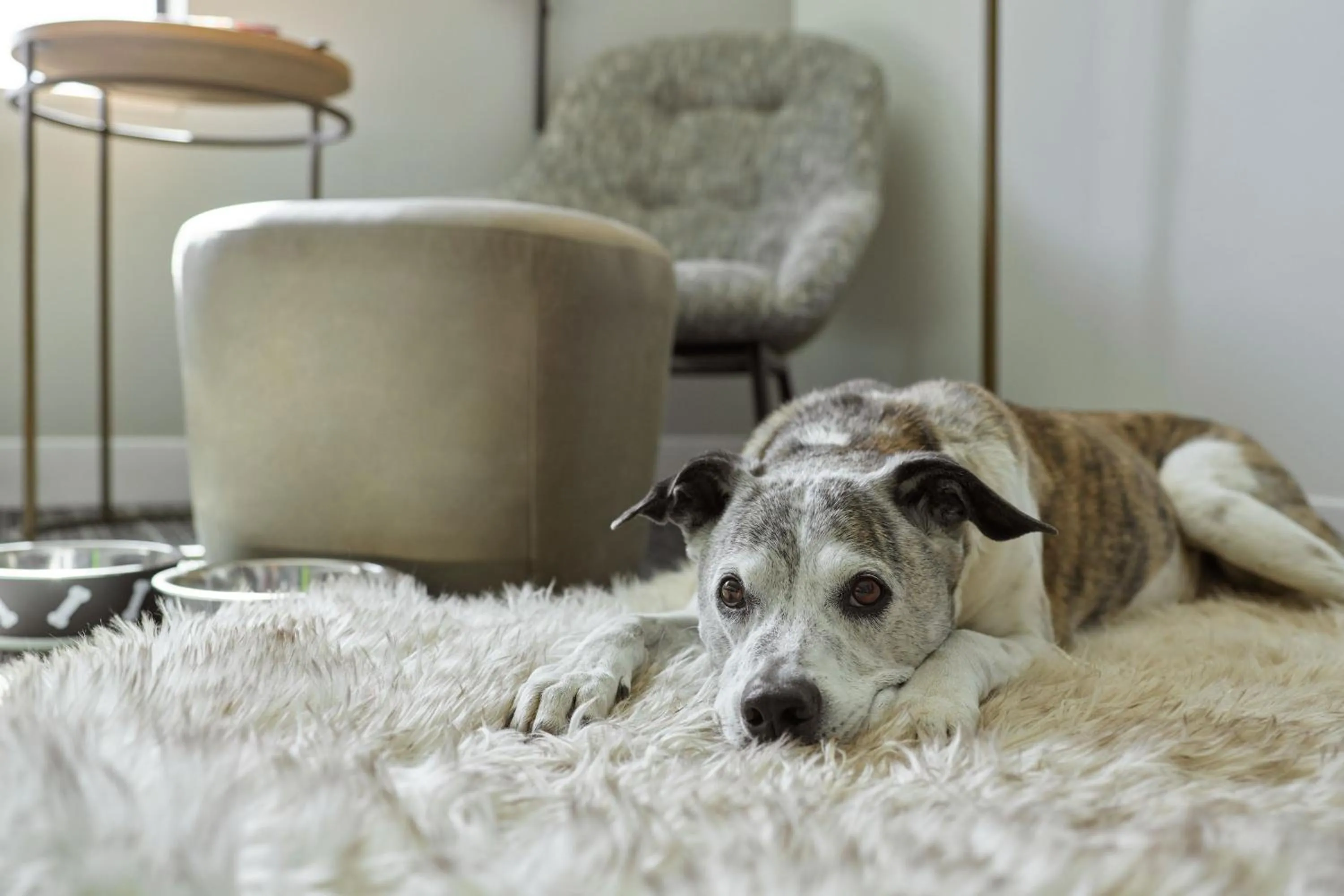 Other in TownePlace Suites by Marriott Avon Vail Valley