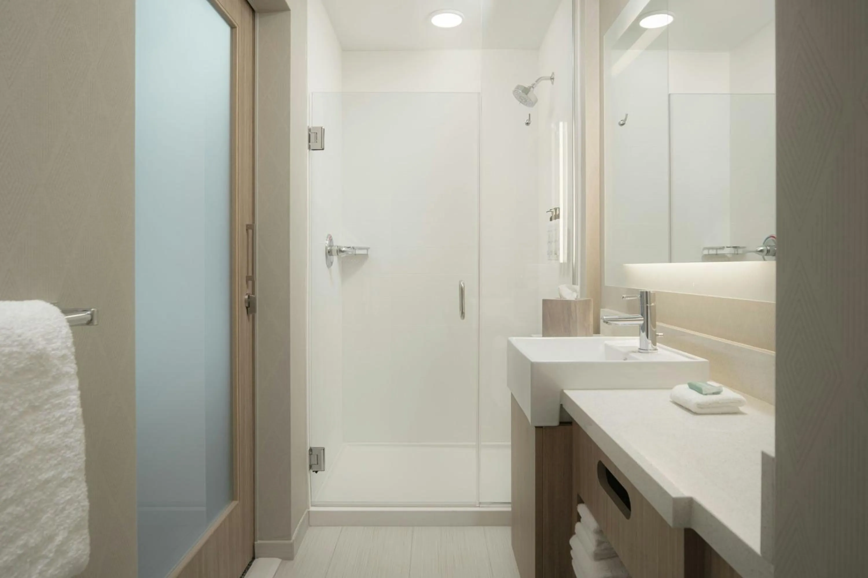 Bathroom in SpringHill Suites by Marriott Tampa Downtown