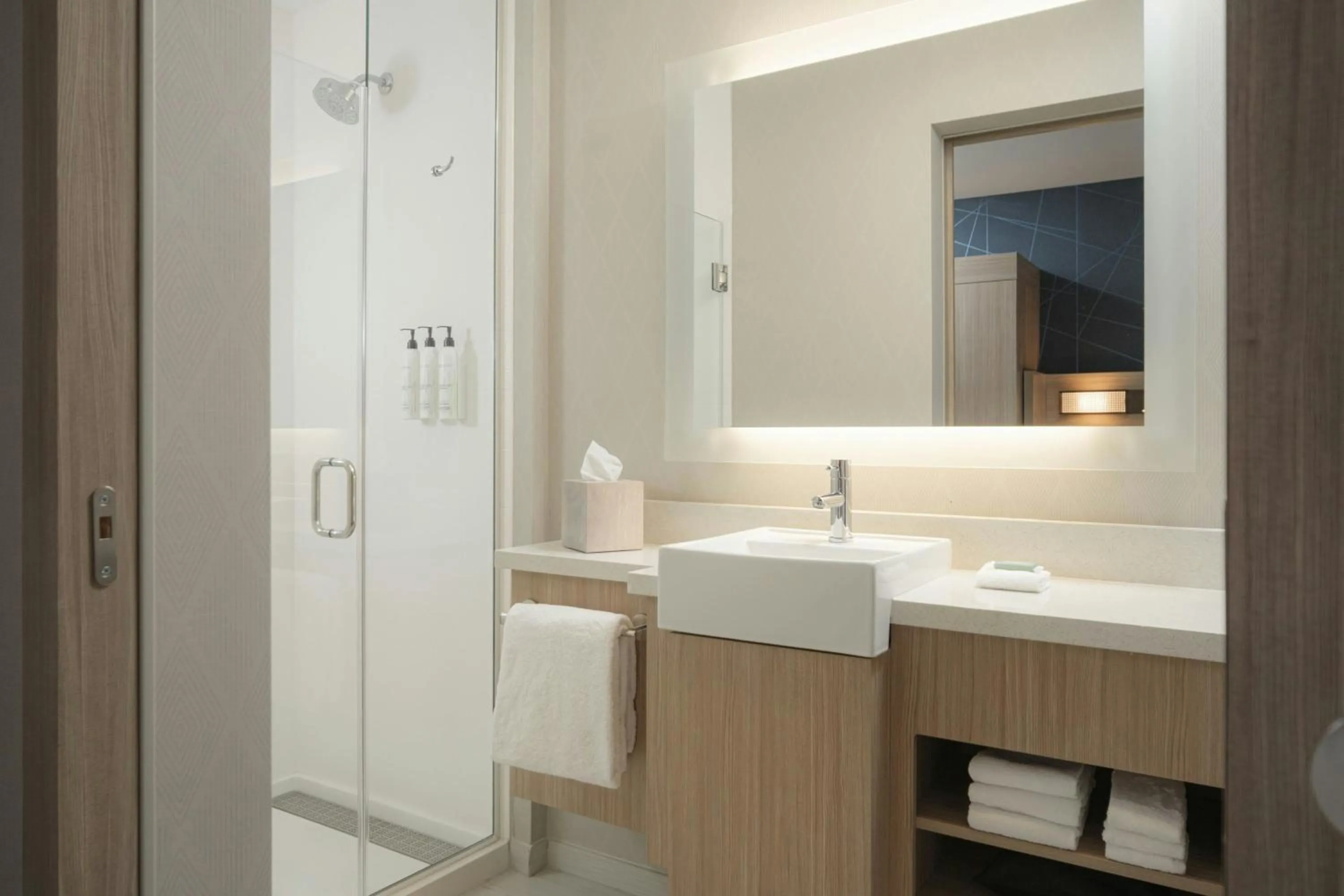 Bathroom in SpringHill Suites by Marriott Tampa Downtown