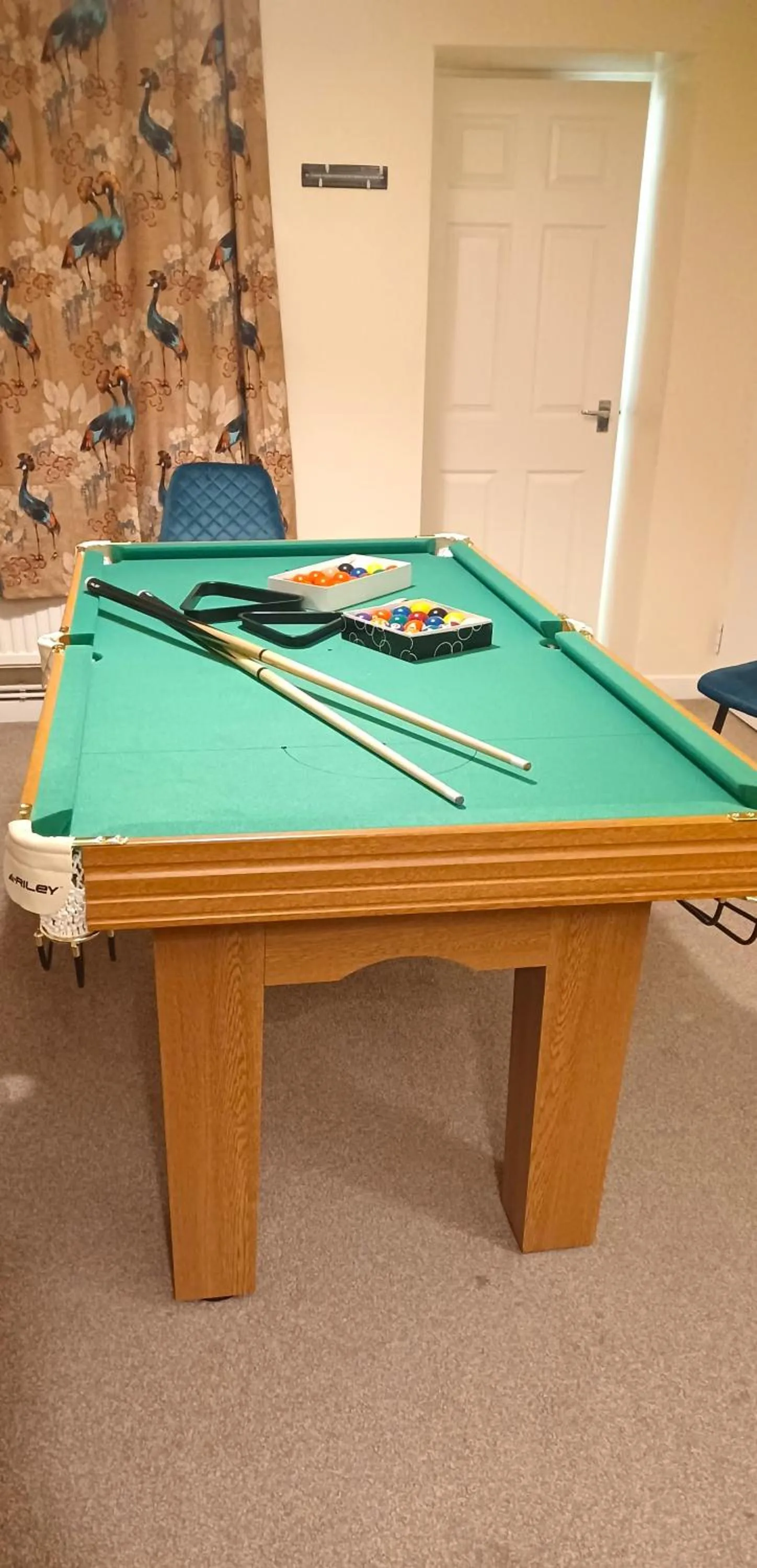 Game Room in Mount Pleasant Retreat