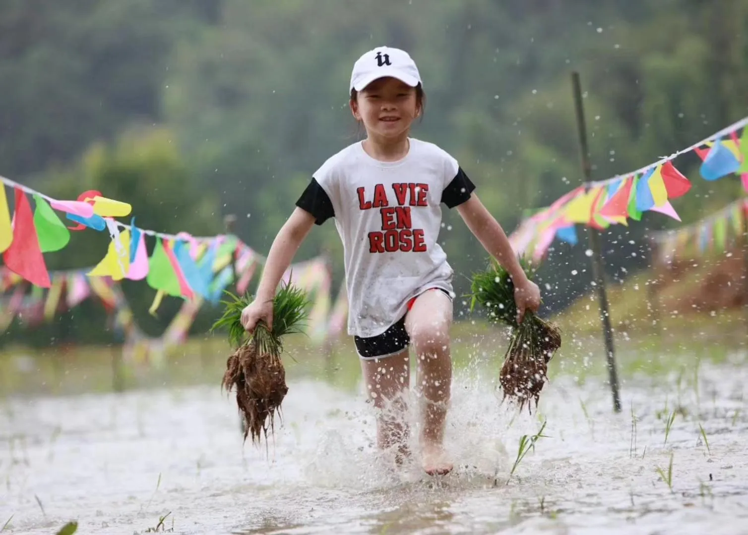 Activities in No.5 Valley Lodge