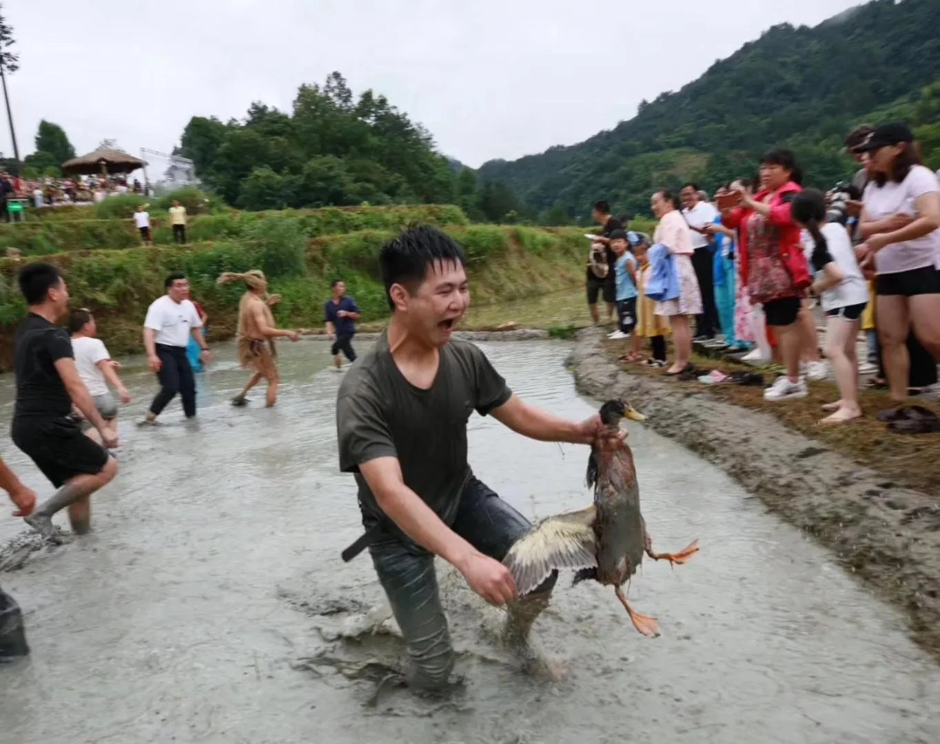 Activities in No.5 Valley Lodge