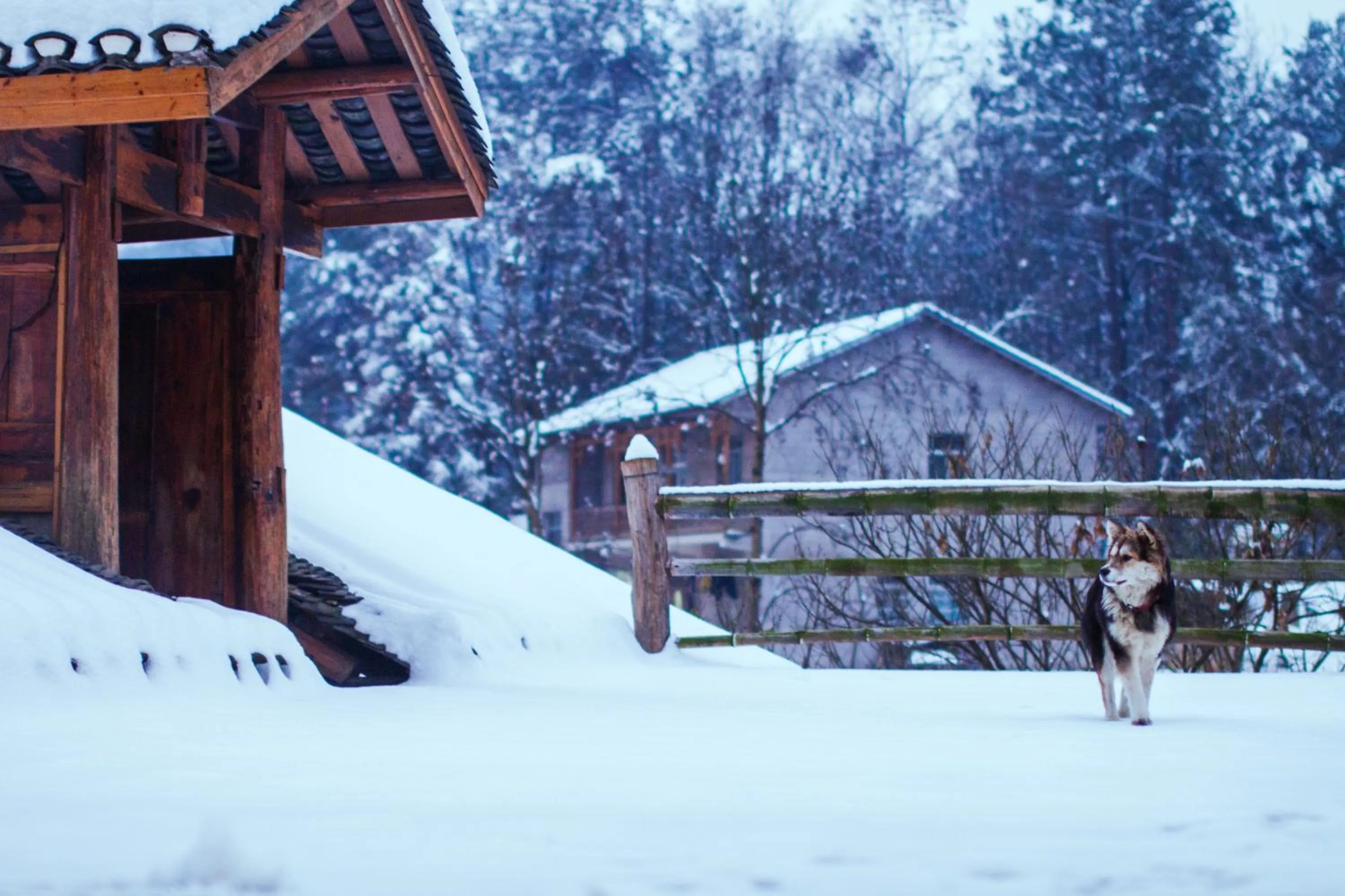 Property building in No.5 Valley Lodge
