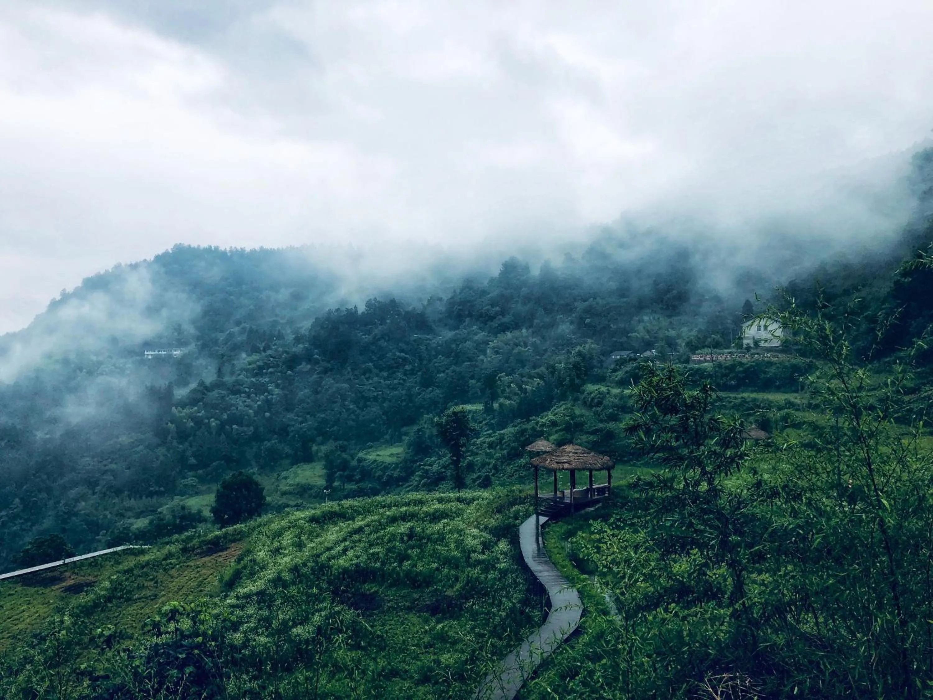 Natural landscape in No.5 Valley Lodge