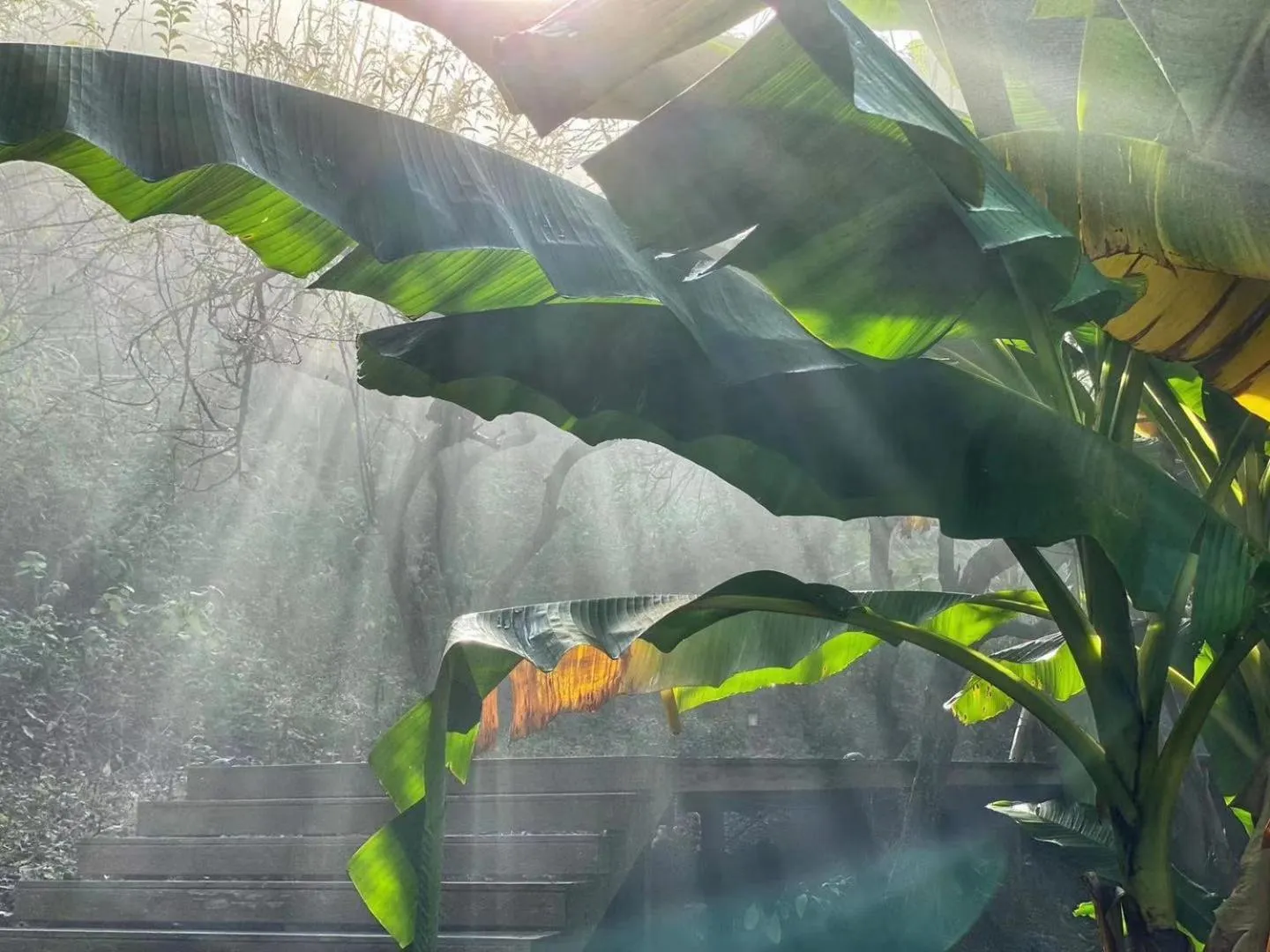 Other in No.5 Valley Lodge