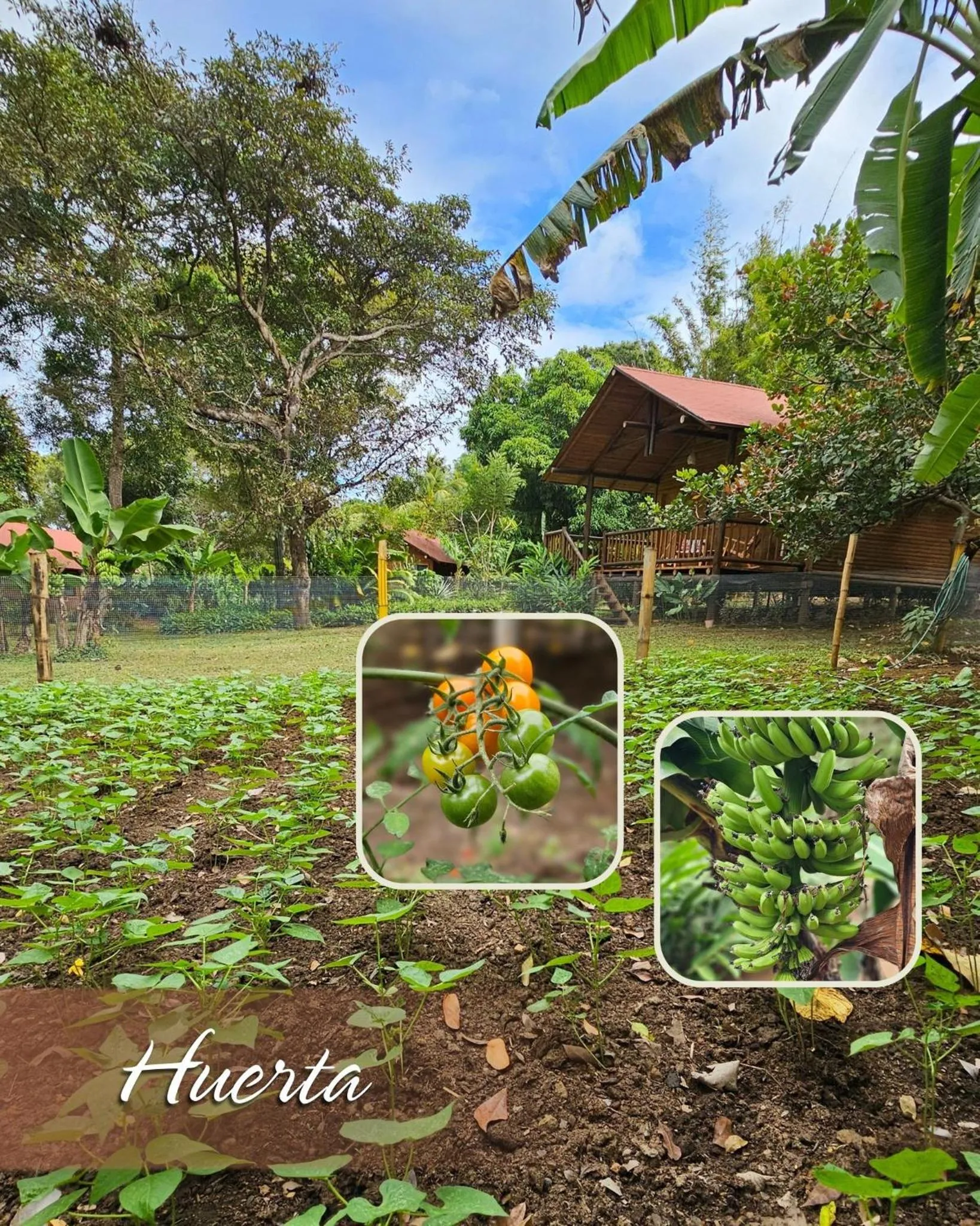 Landmark view in Hotel Amigo Nicaragua