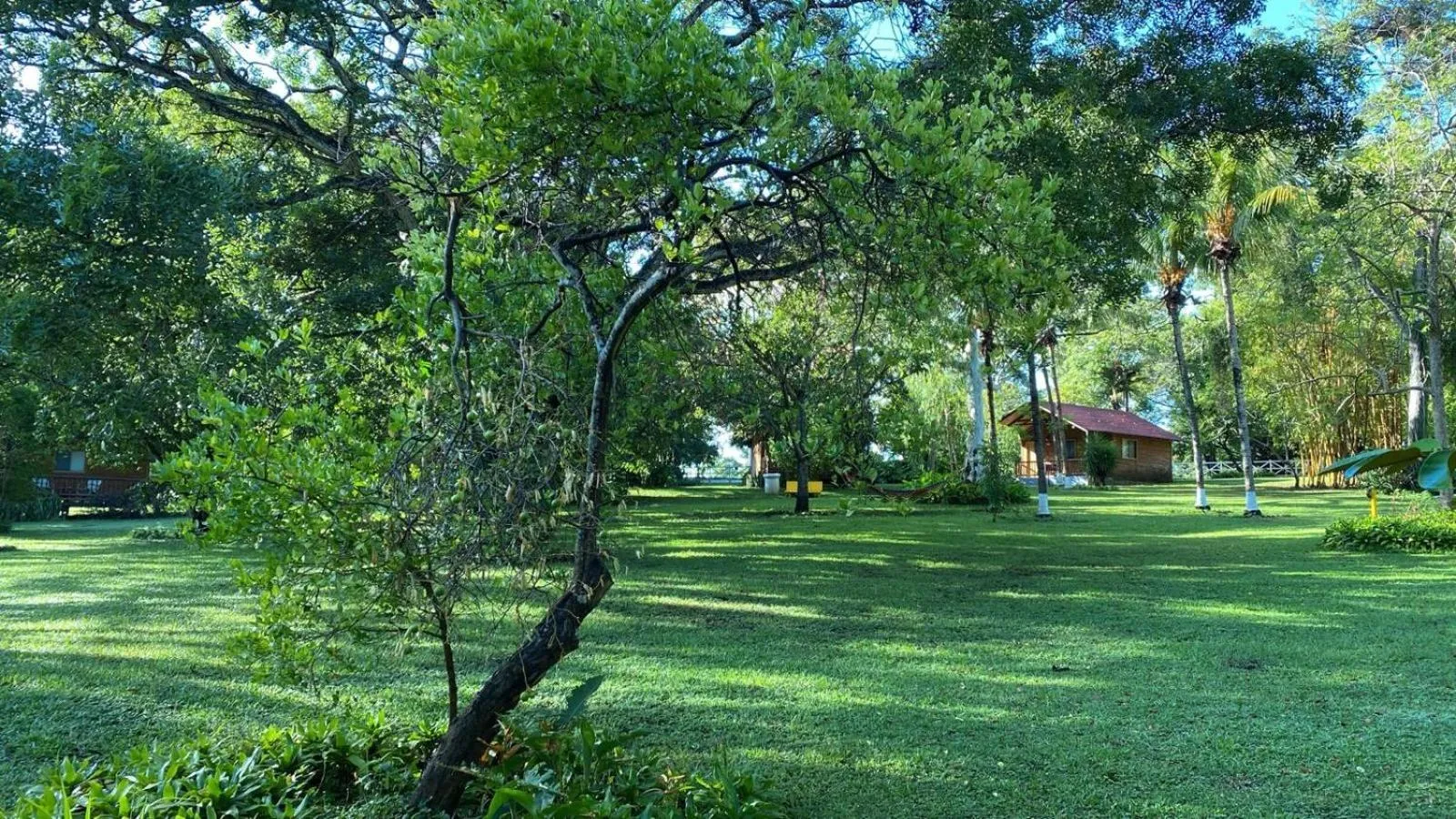 Garden in Hotel Amigo Nicaragua