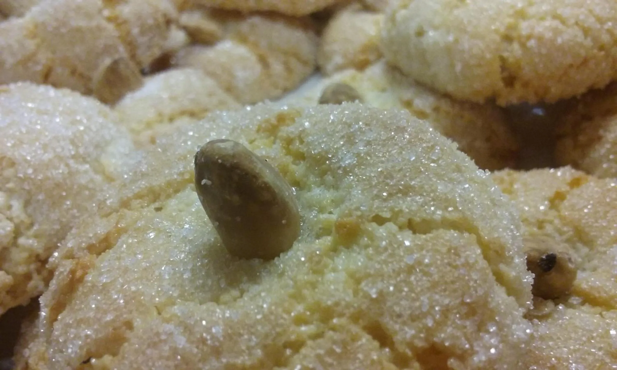 Breakfast in Sa Ruscitta