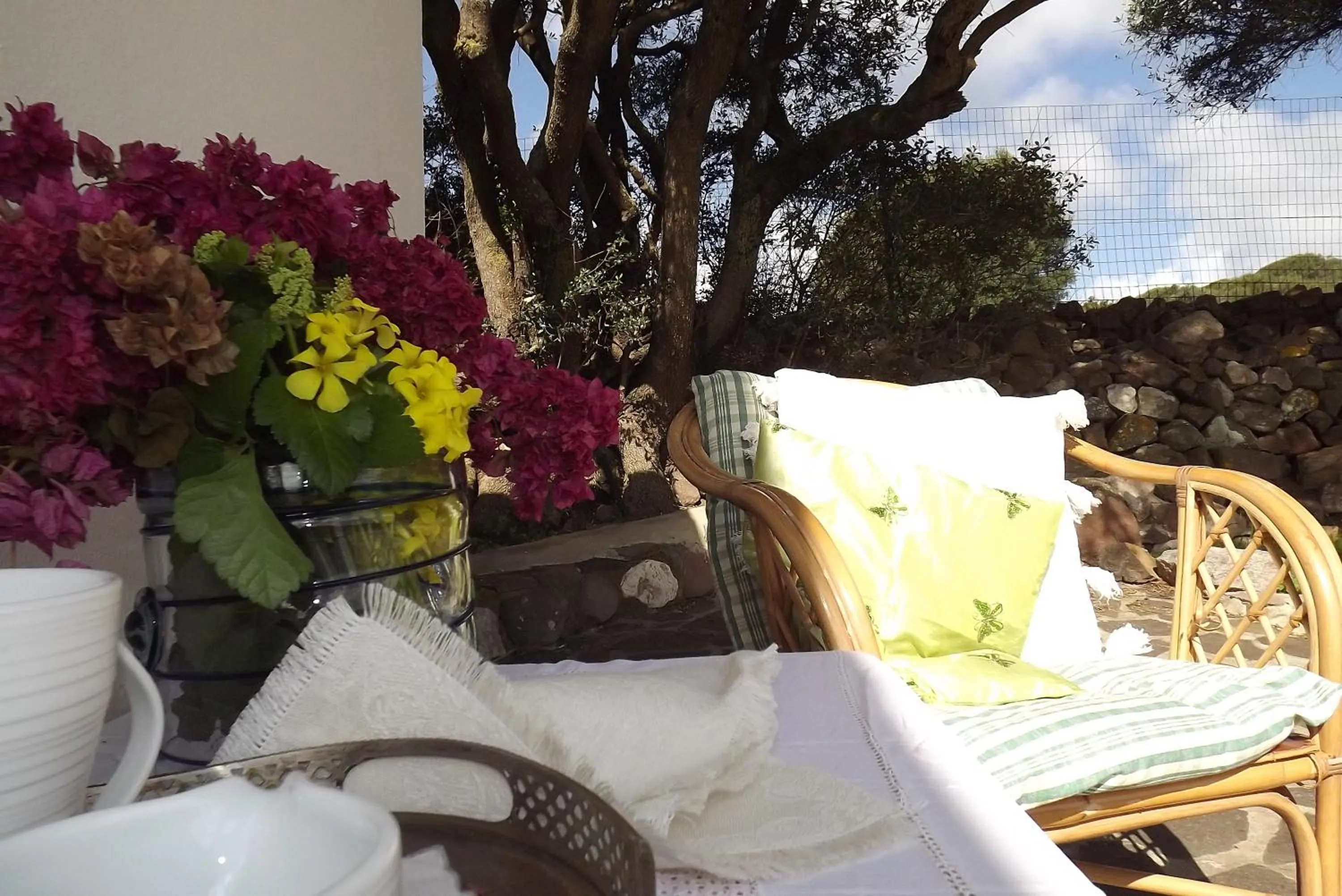 Spring in Sa Ruscitta