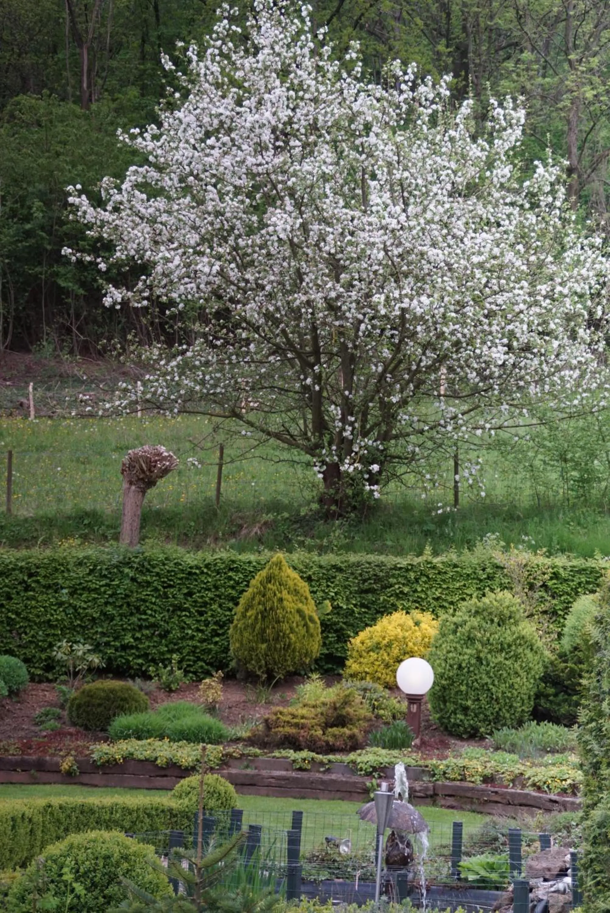 Natural landscape in Hotel Bemelmans
