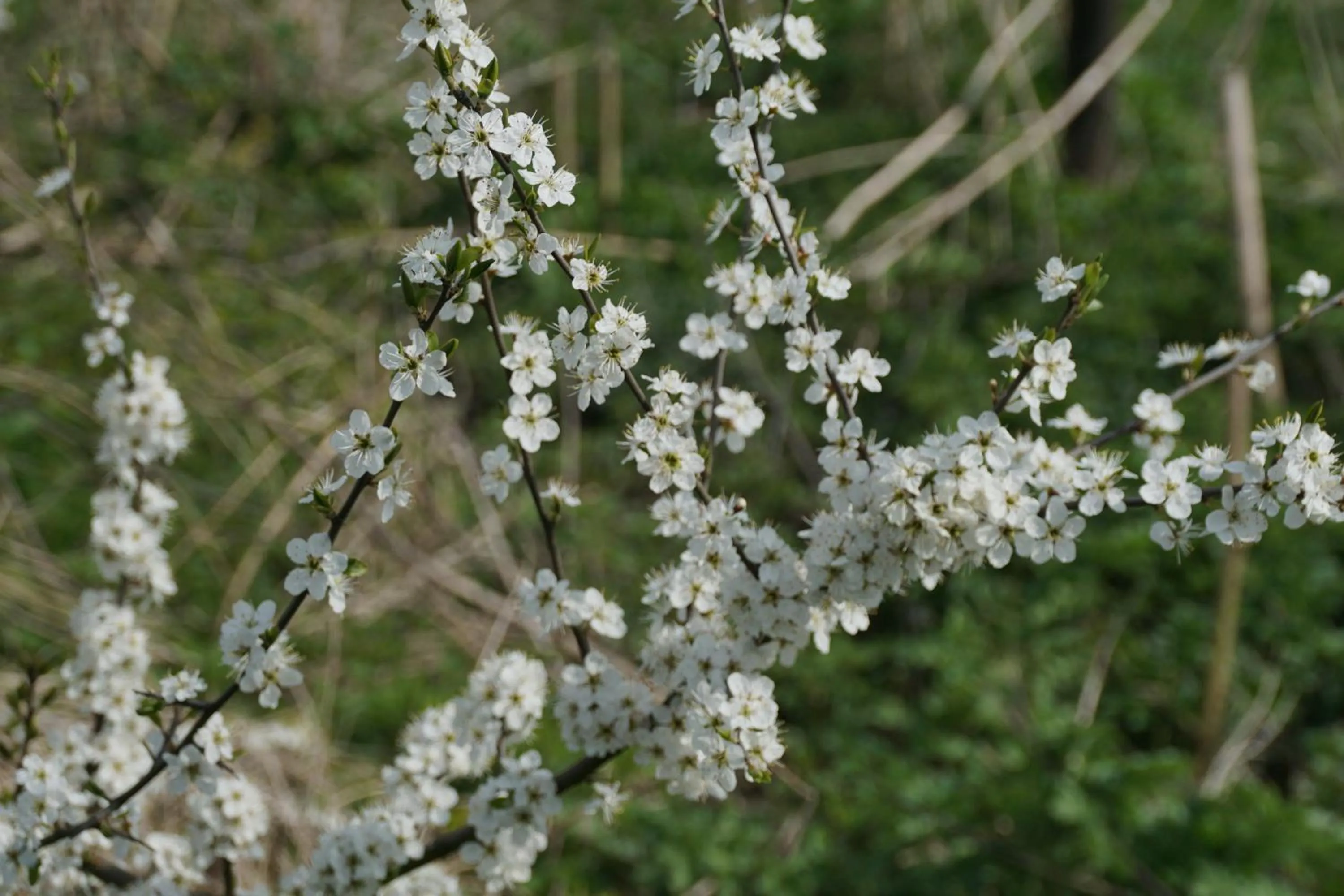 Off site in Hotel Bemelmans