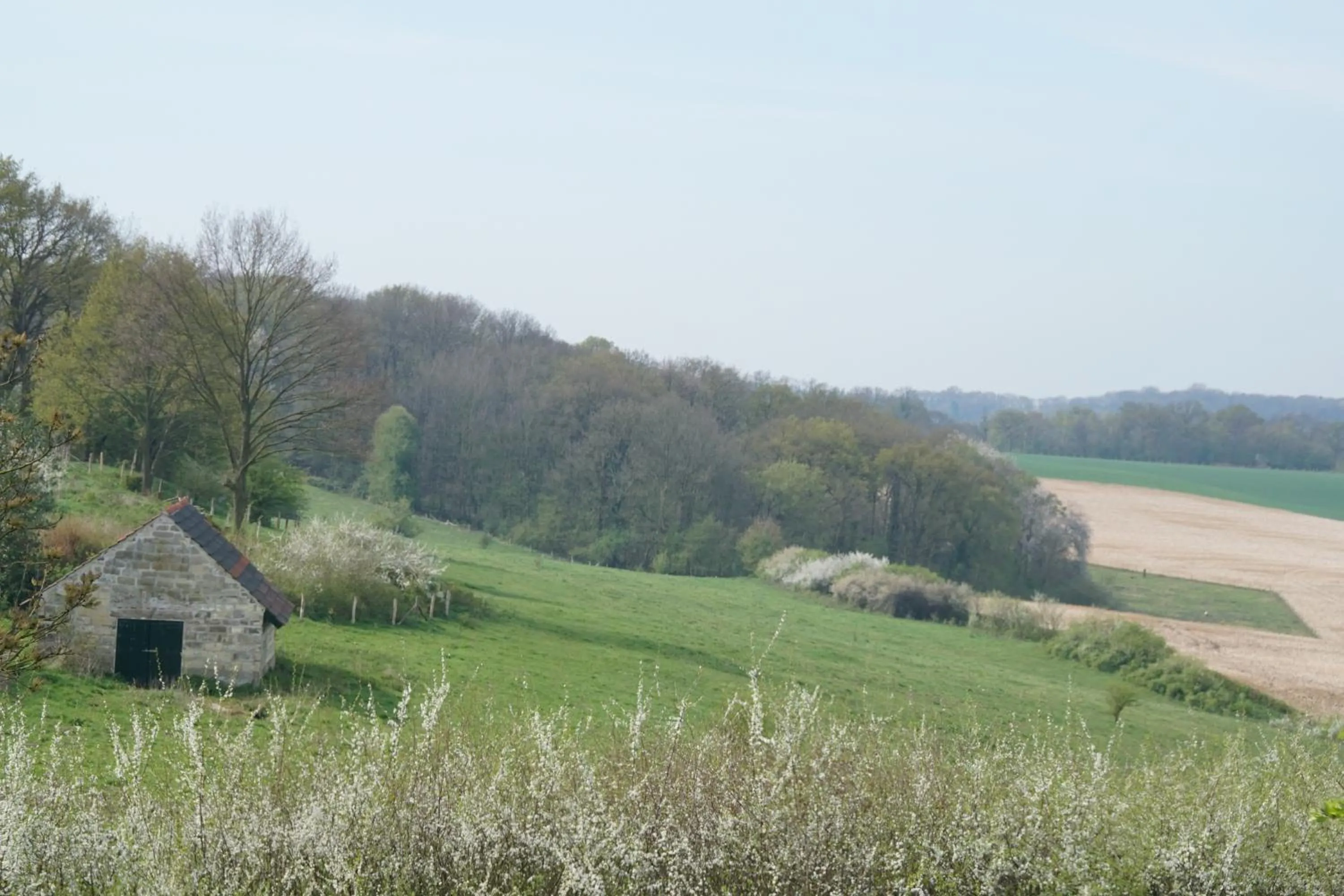 Off site in Hotel Bemelmans