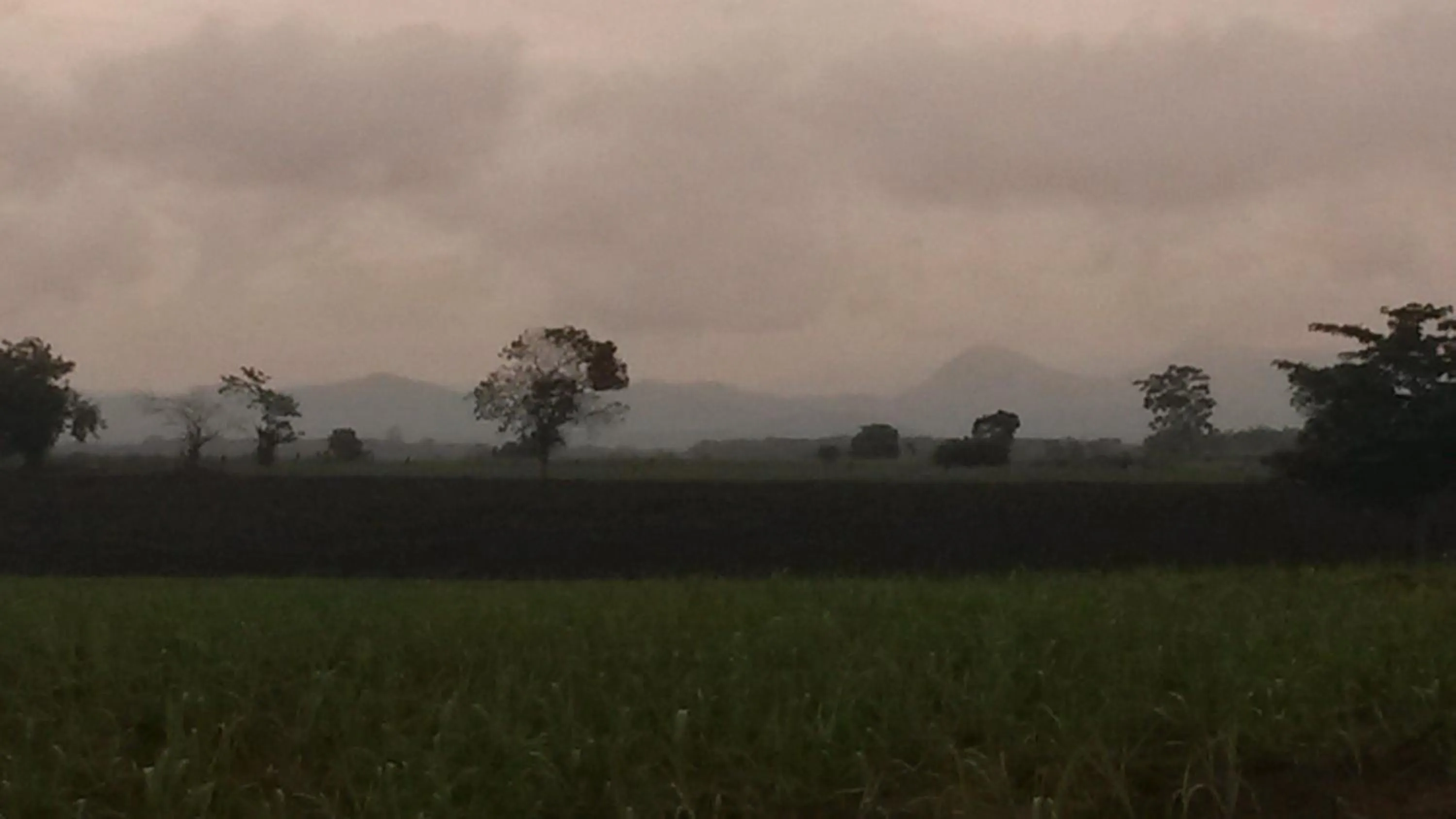 View (from property/room) in Hotel Gayan's