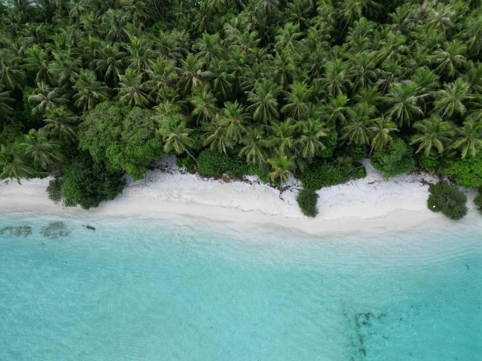 Beach in Isla Retreat