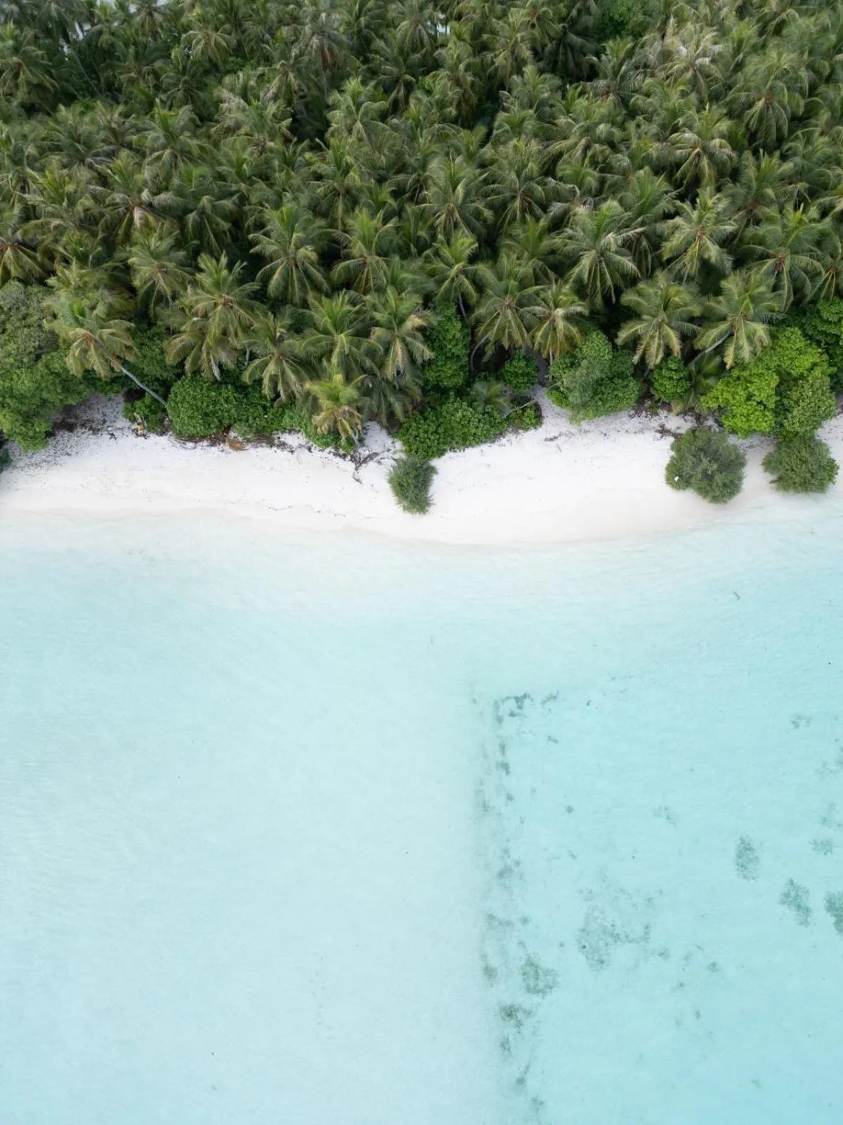 Beach in Isla Retreat