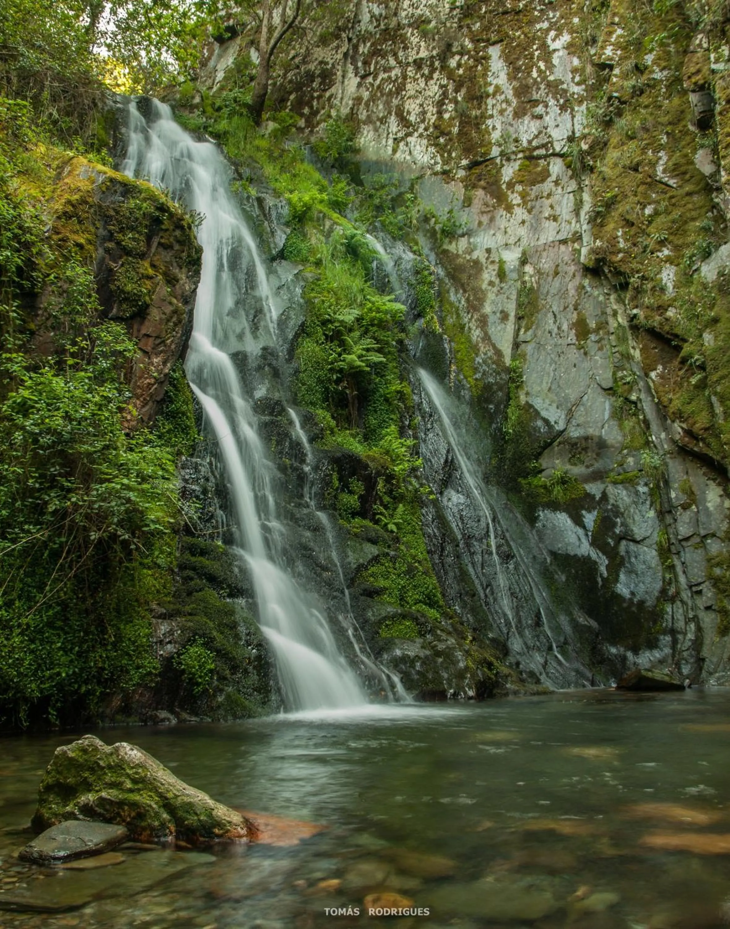 Natural landscape in Hotel de Arganil
