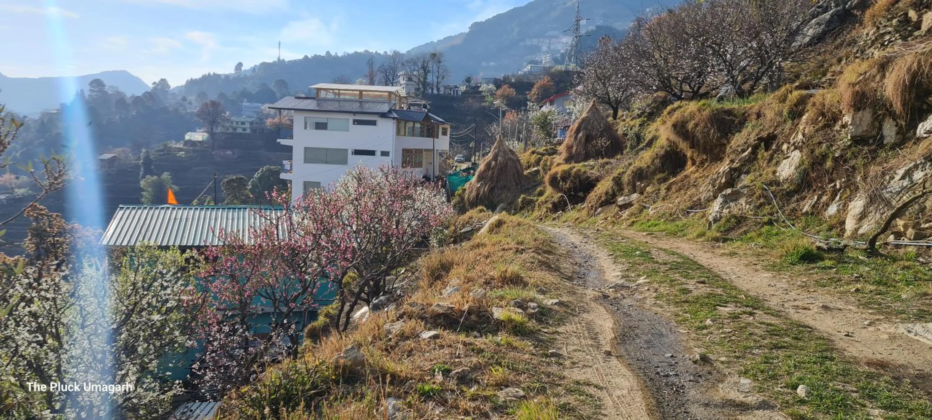 Other in The Pluck- Boutique Luxury Homestay