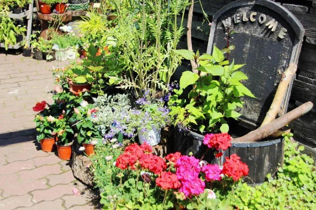 Ryobou Hanaemi Hotel