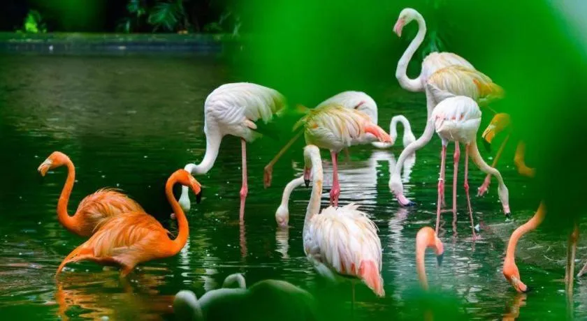 Borrman Hotel Guangzhou Southern Hospital Meihuayuan Metro Station