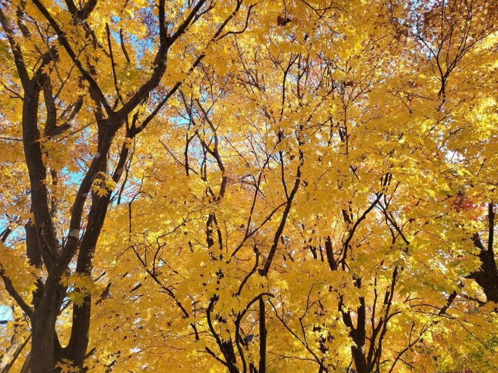 Seorak Mt., The East Sea and hot spring