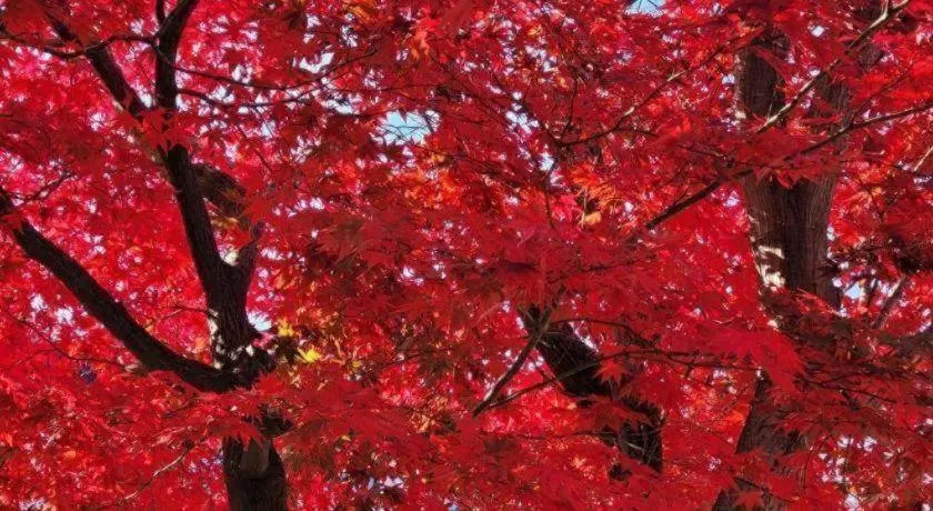 Seorak Mt., The East Sea and hot spring