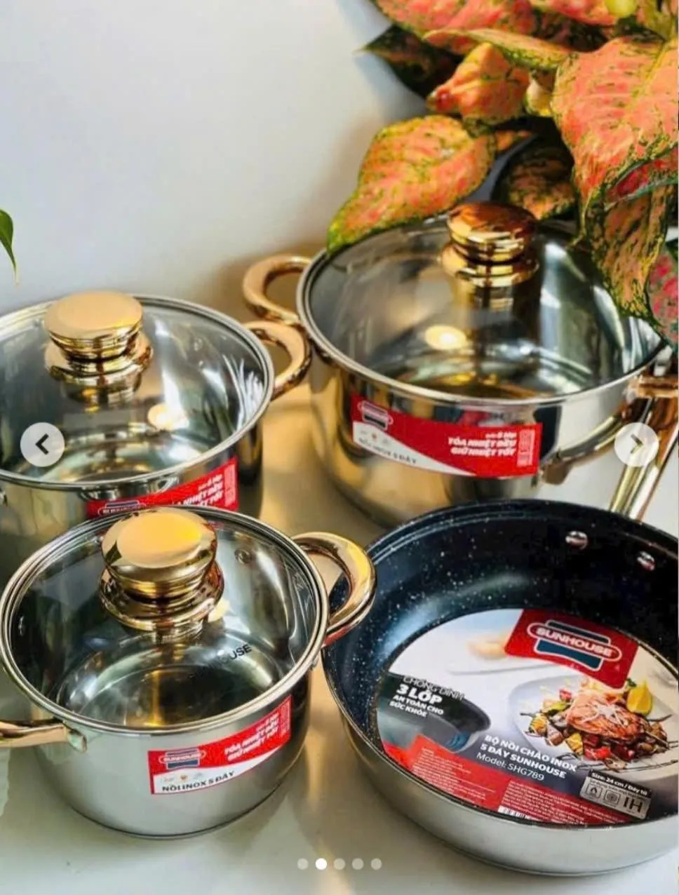 OH Trendy homes Hoan Kiem PNL1