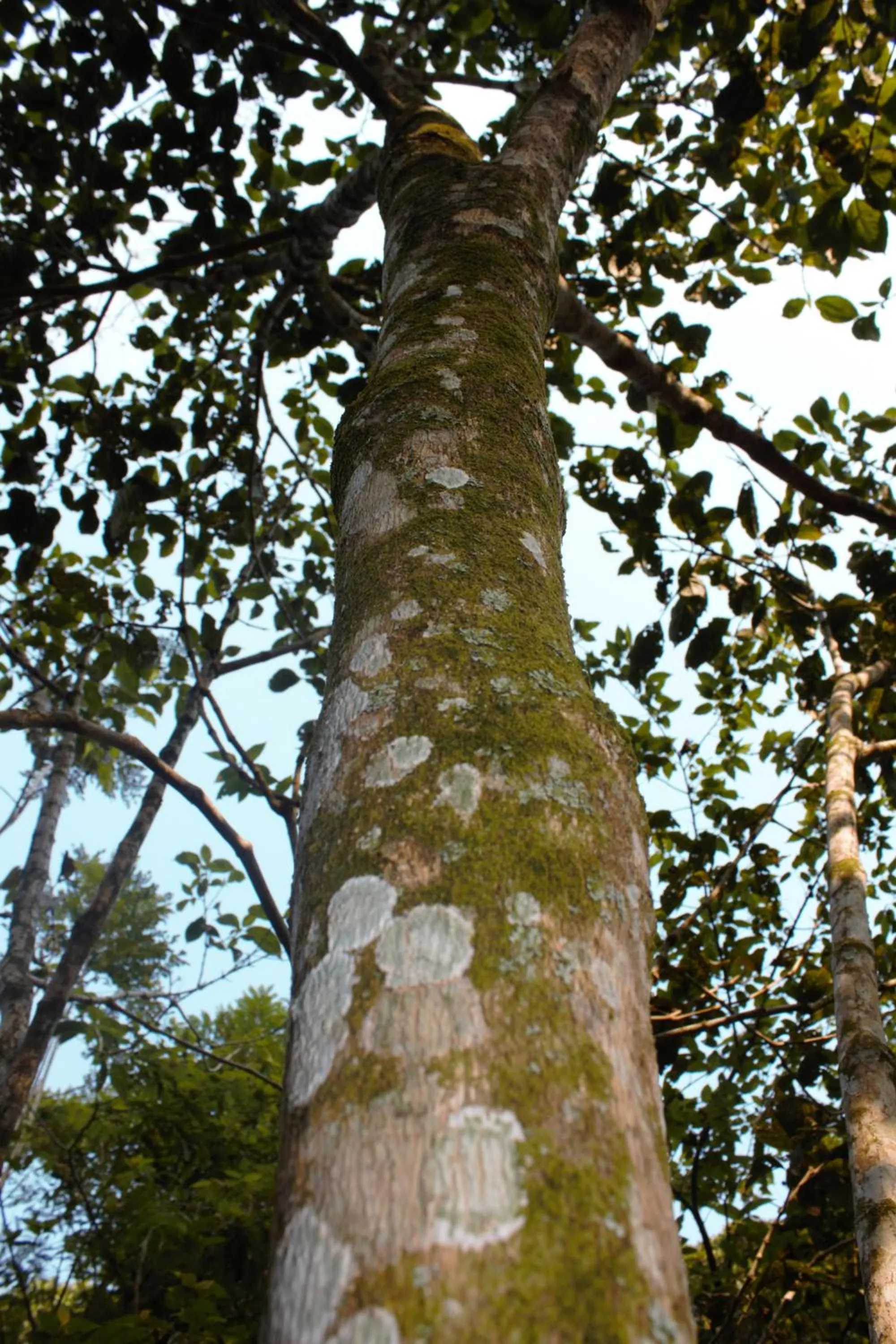 Natural landscape in Hotel Parador del Gitano