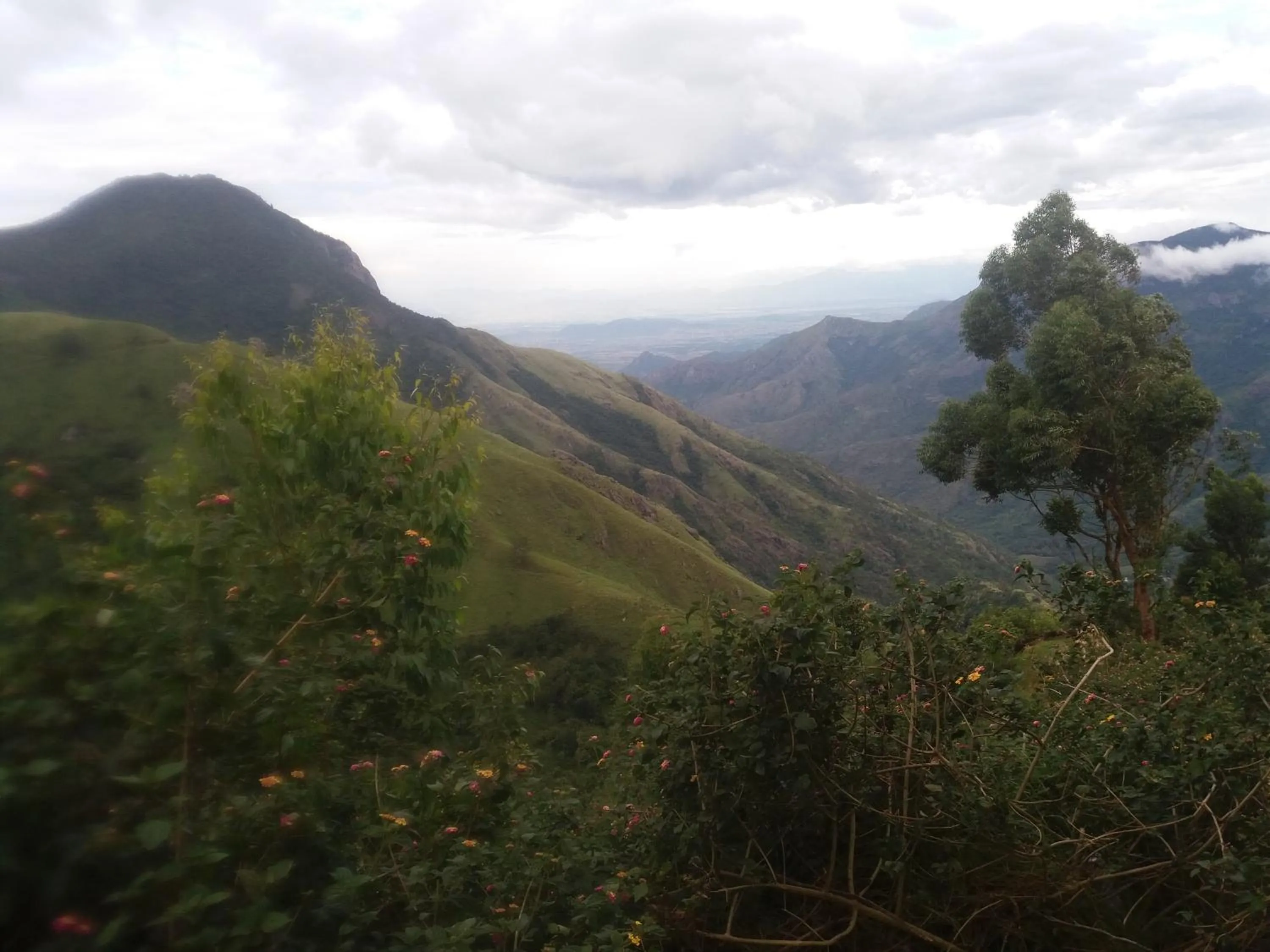 Hiking in Monsoon Grande