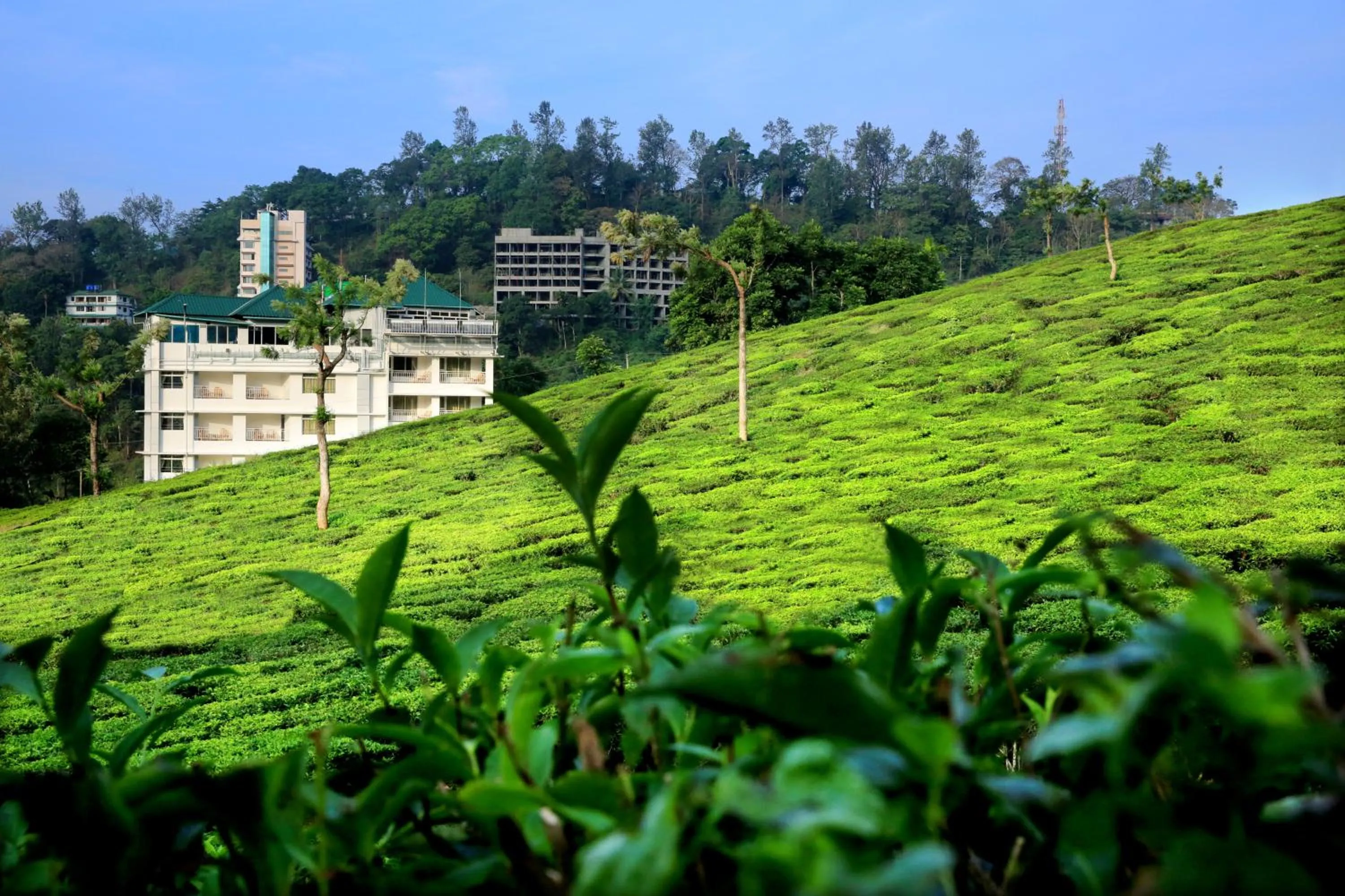 Property building in Monsoon Grande