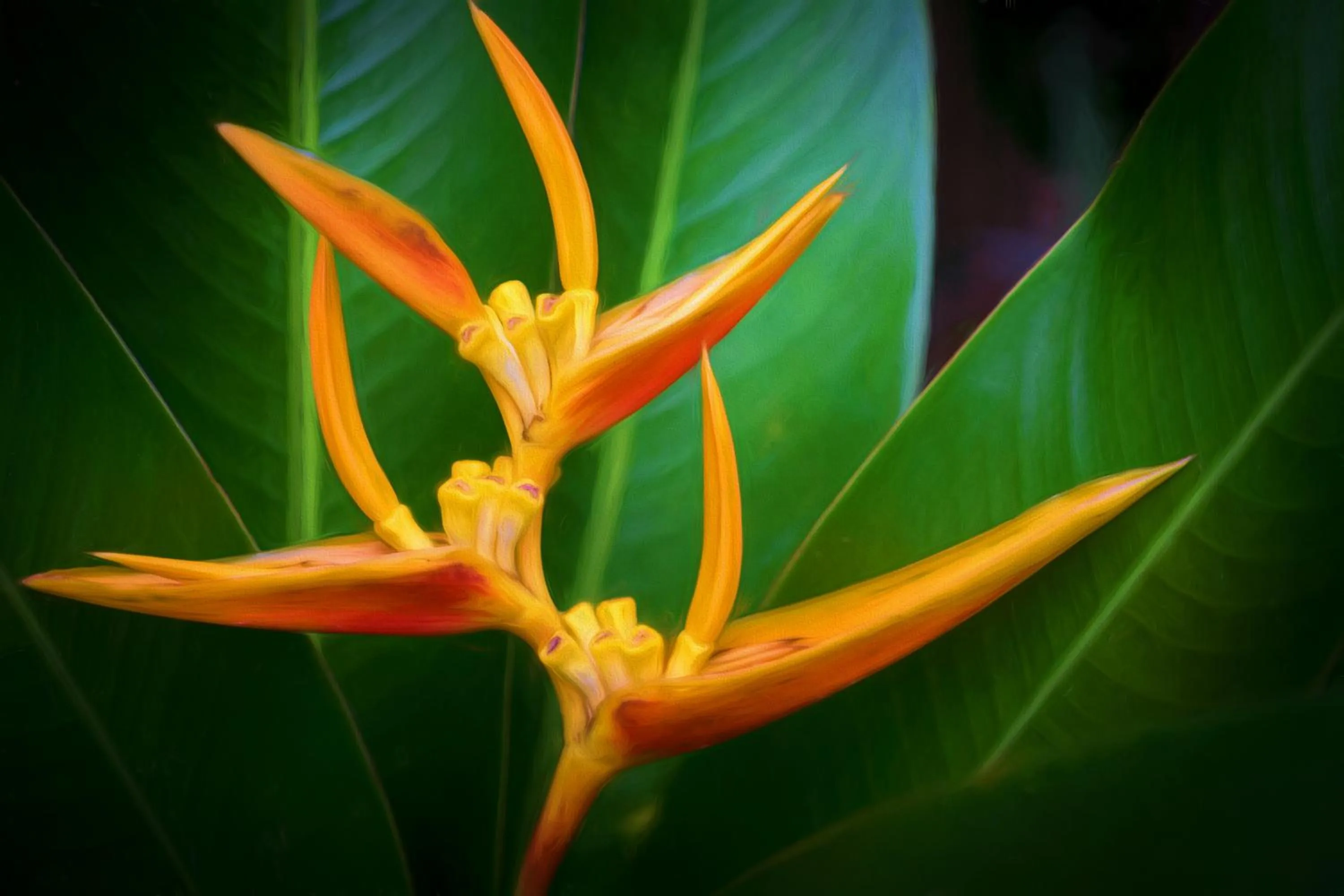 Decorative detail in Atlantis Dive Resort Dumaguete