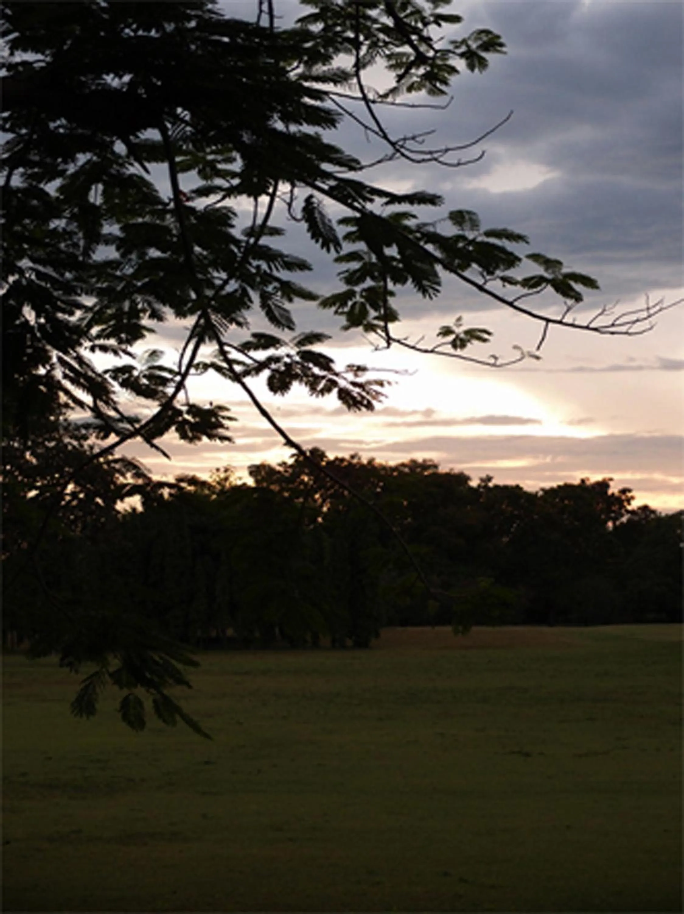 Garden in Korat Resort Hotel