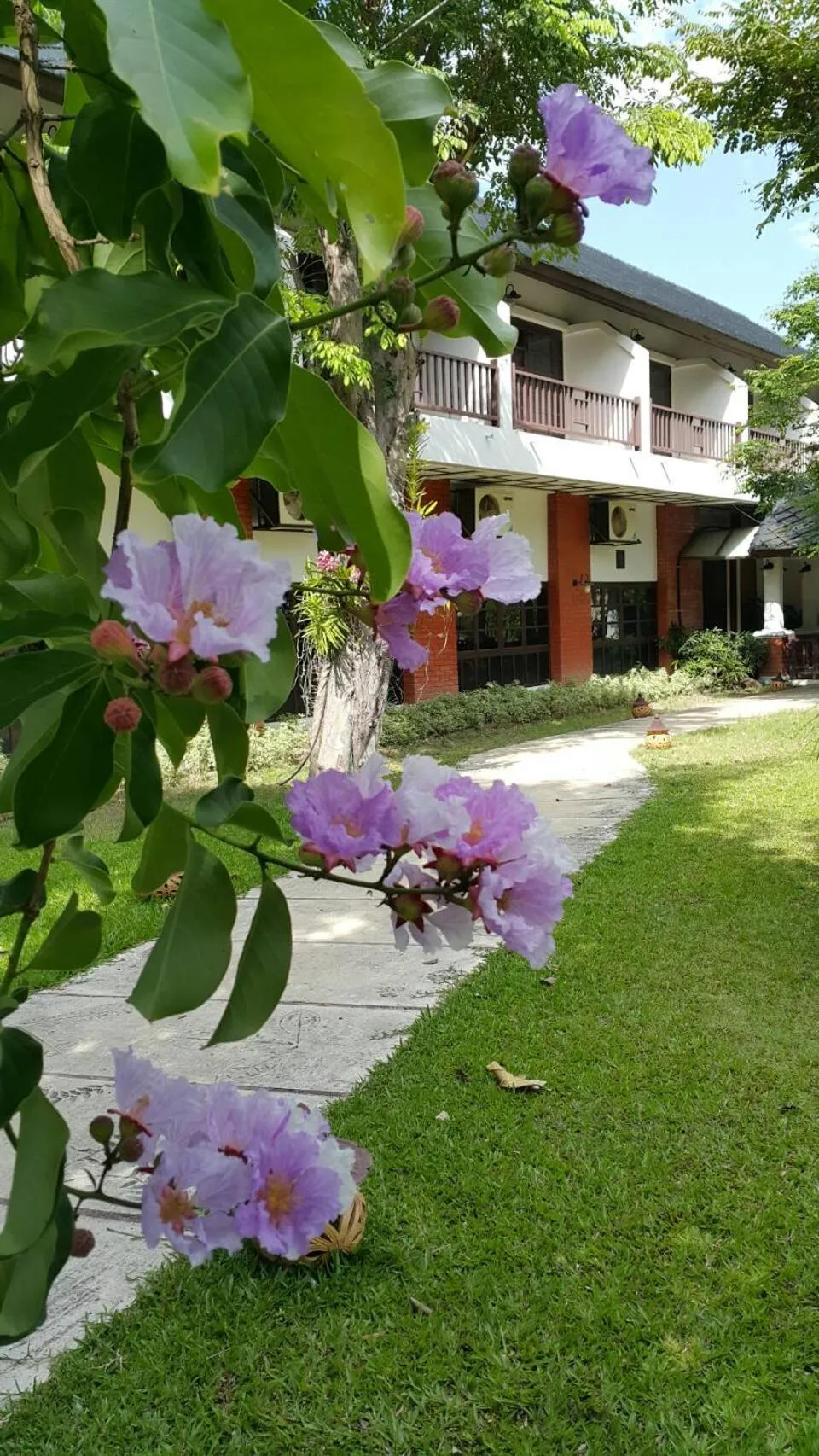 Garden in Korat Resort Hotel