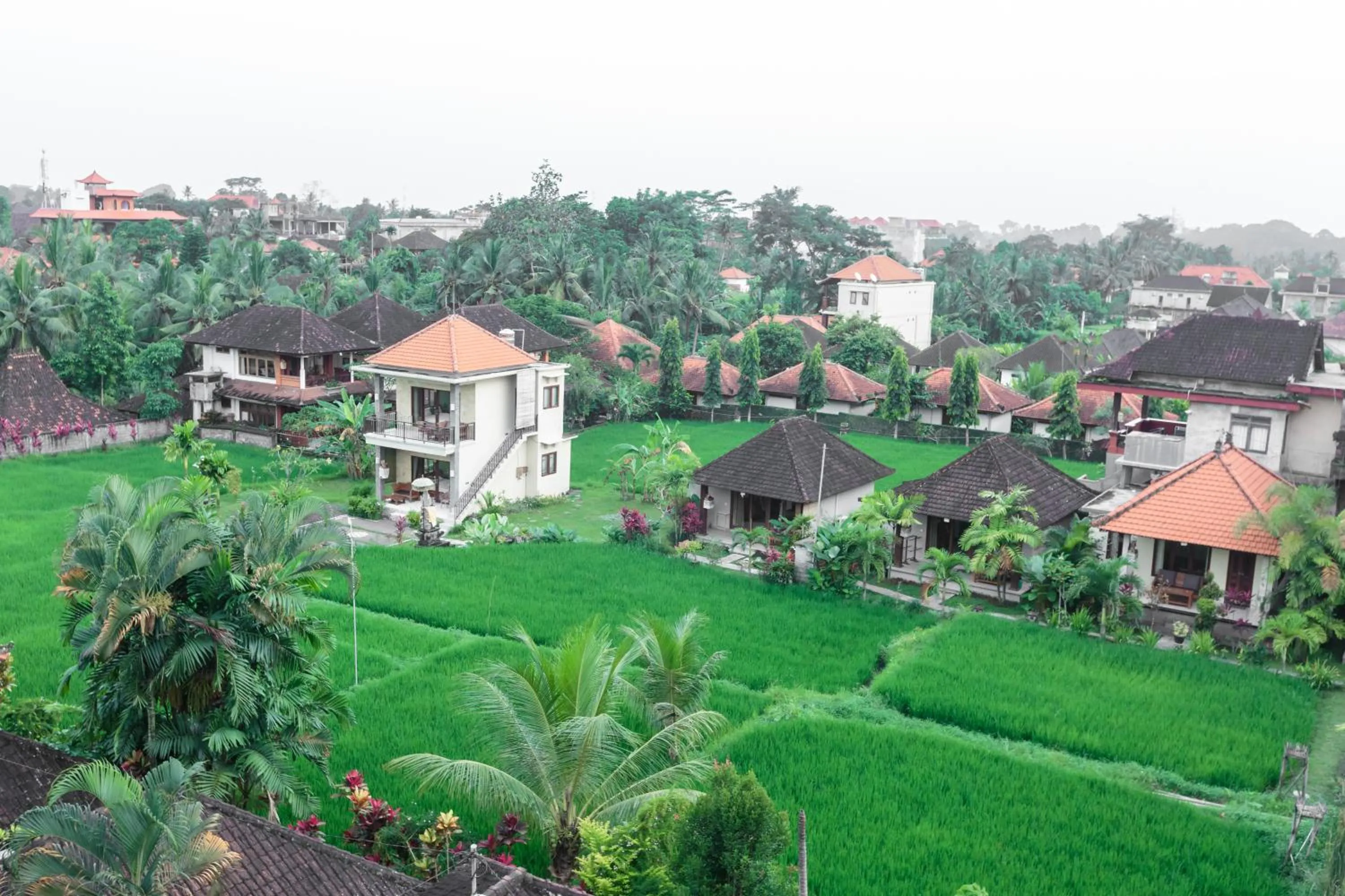 View (from property/room) in Warji House 2 Bisma