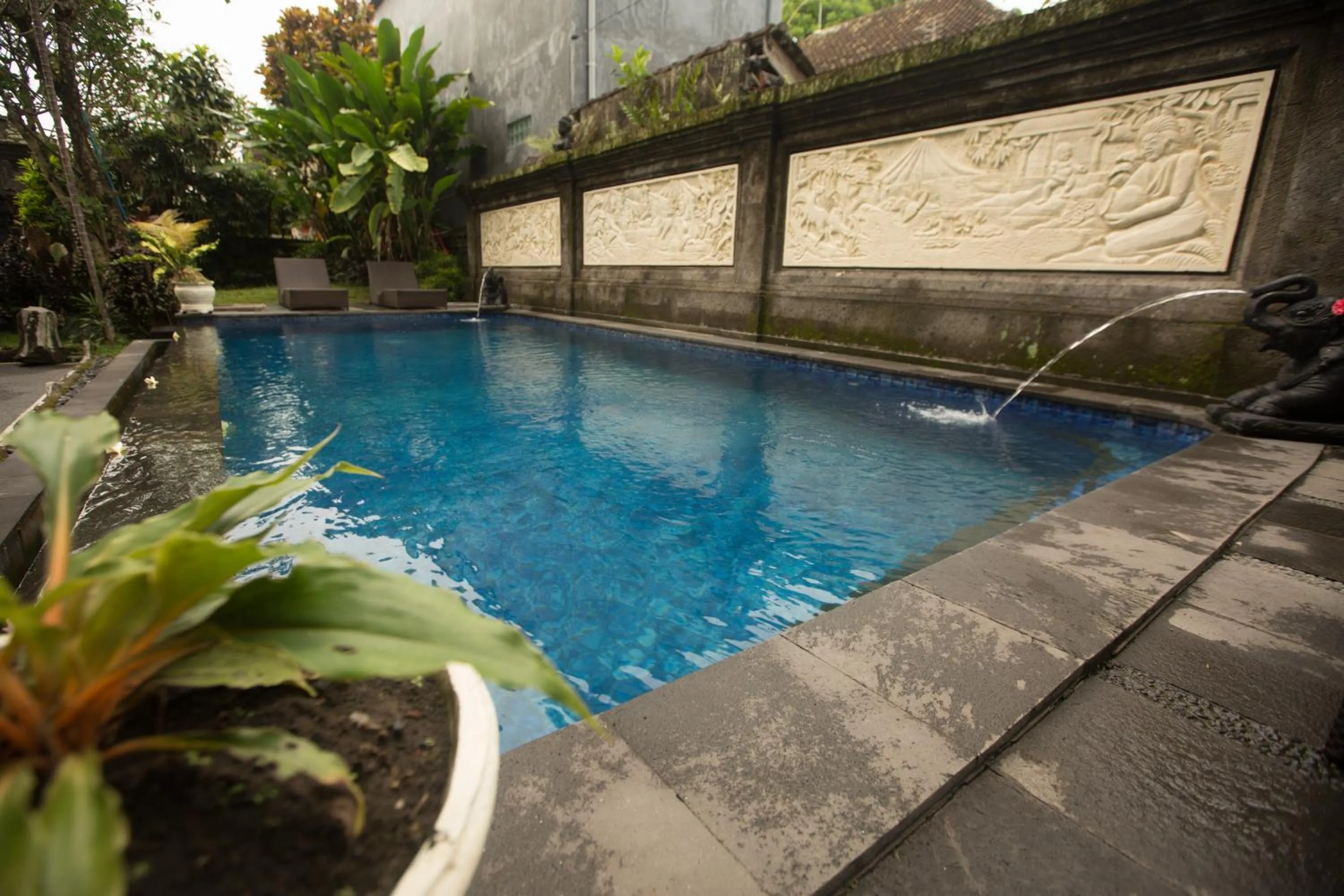 Swimming pool in Warji House 2 Bisma