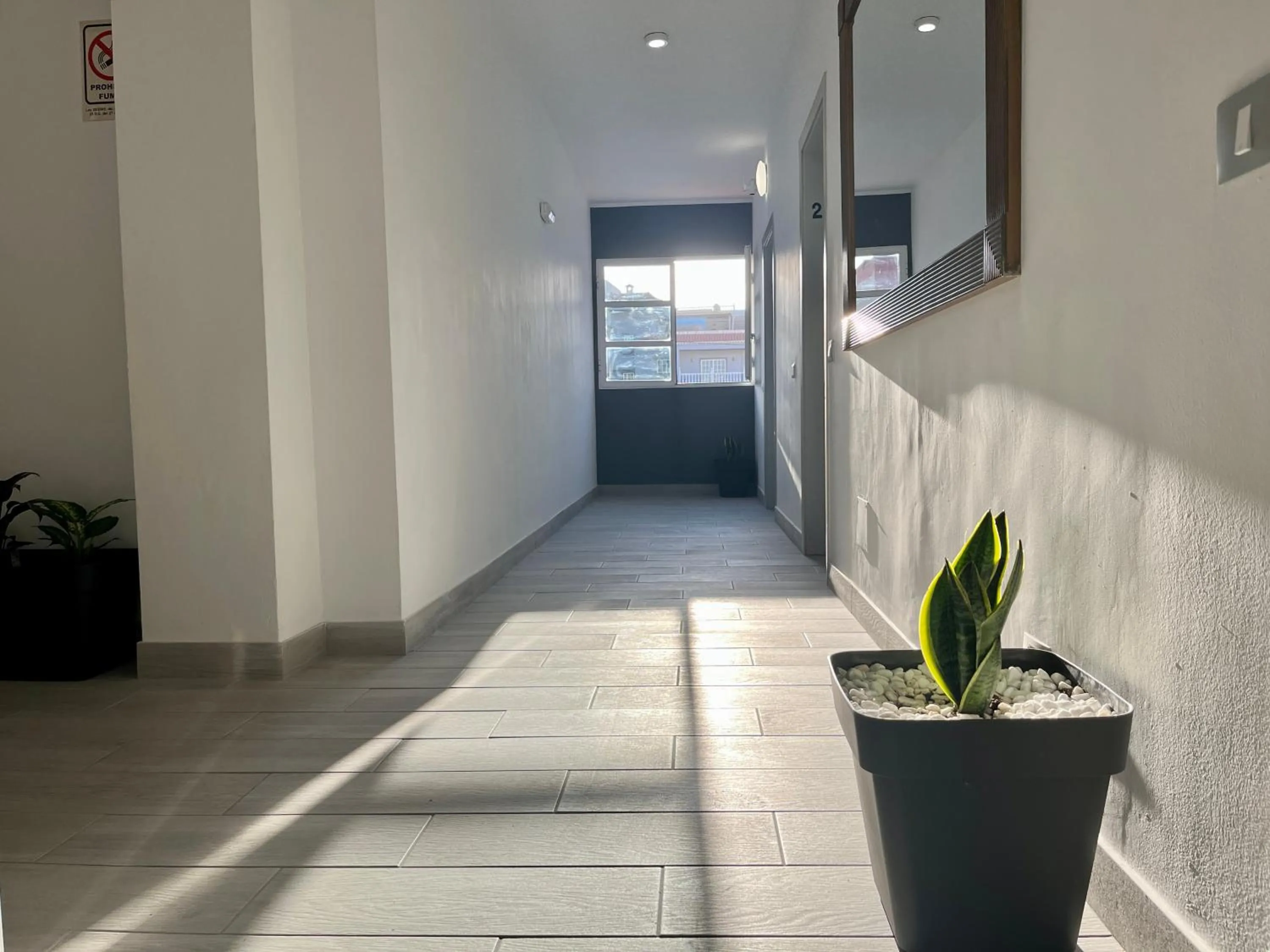 Decorative detail in Pensión Cassandra