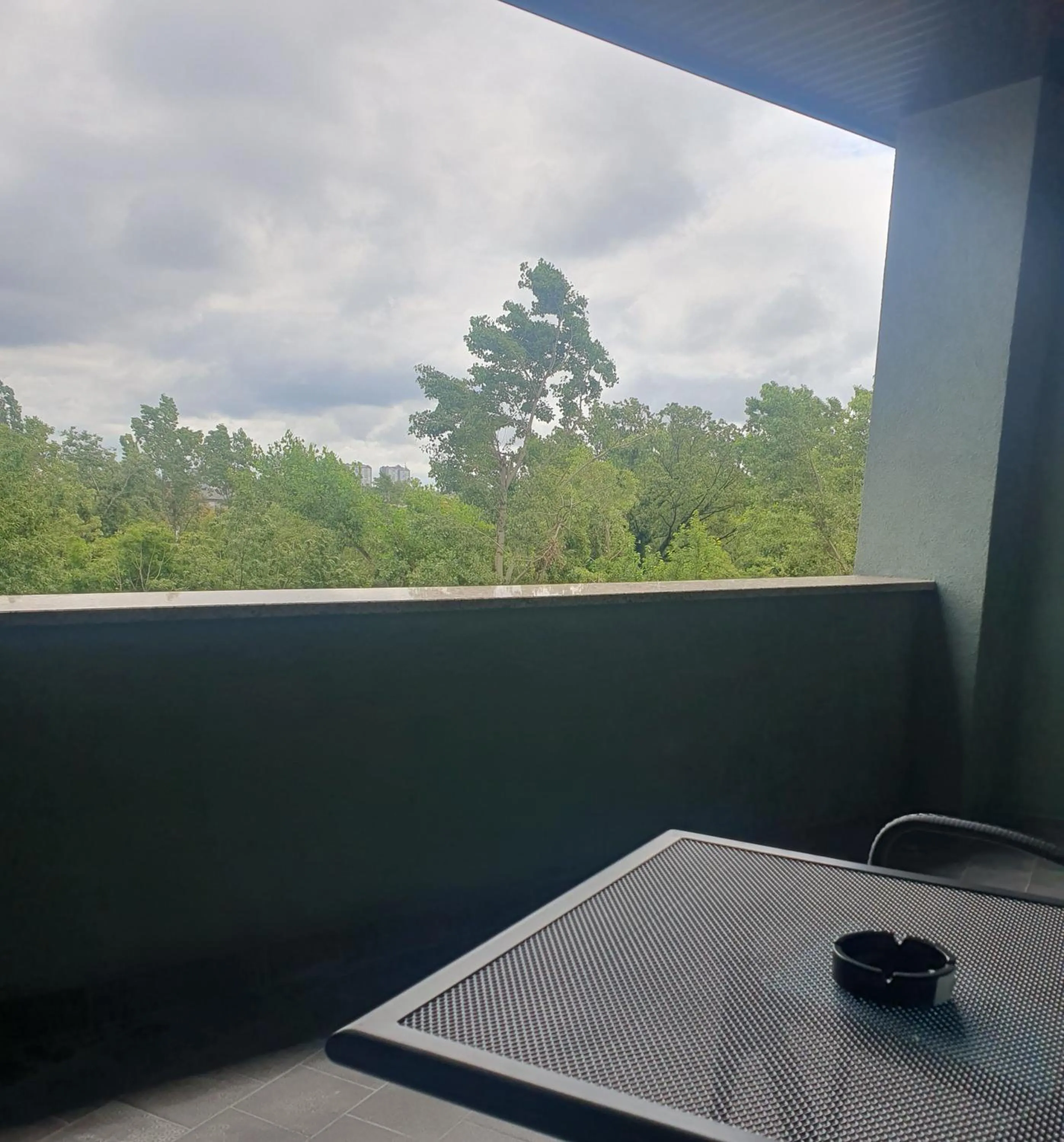 Natural landscape in Hotel Europa