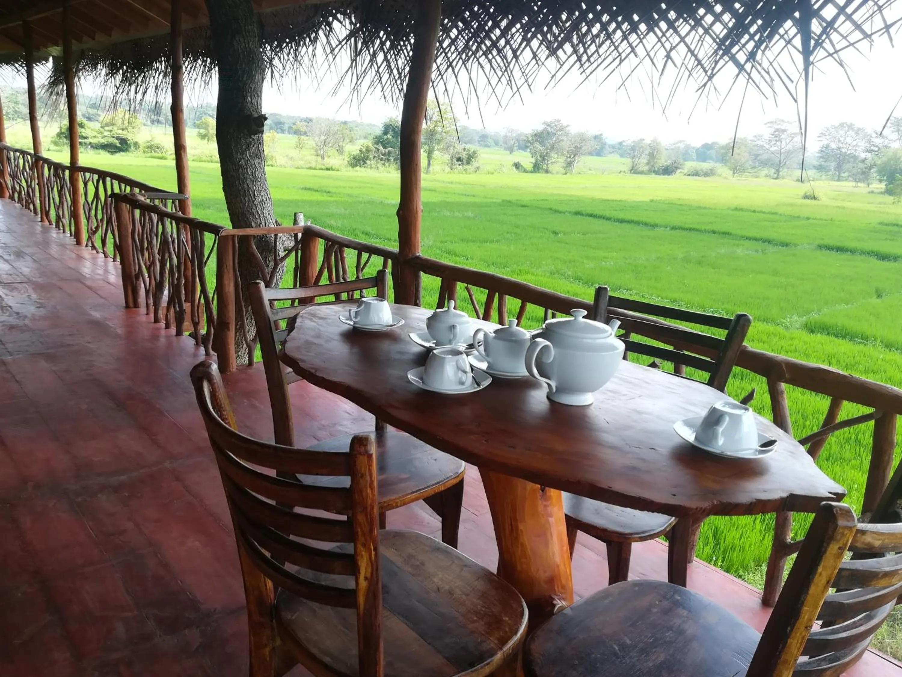 Balcony/Terrace in The Hideout Sigiriya