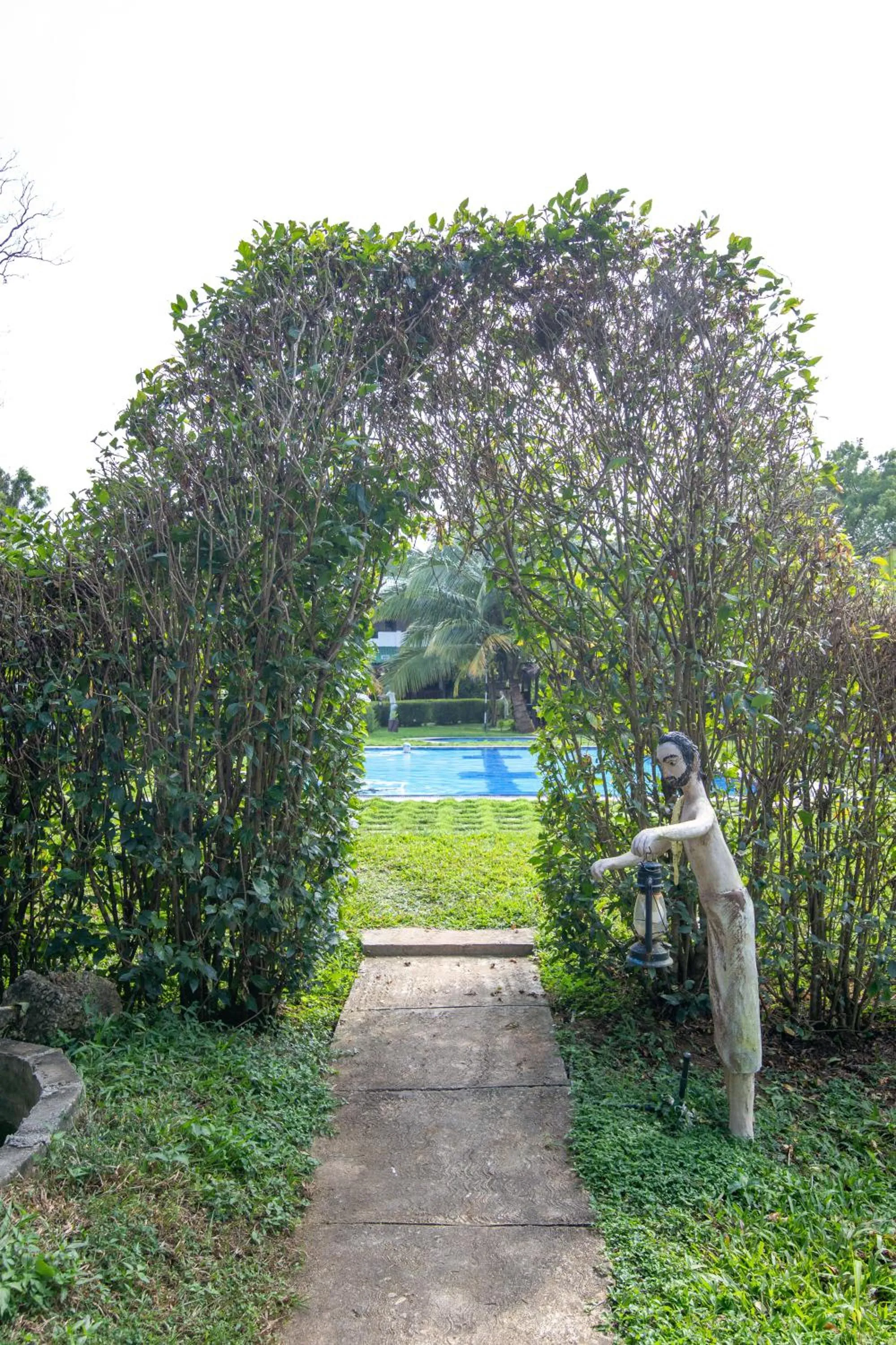 Pool view in The Hideout Sigiriya