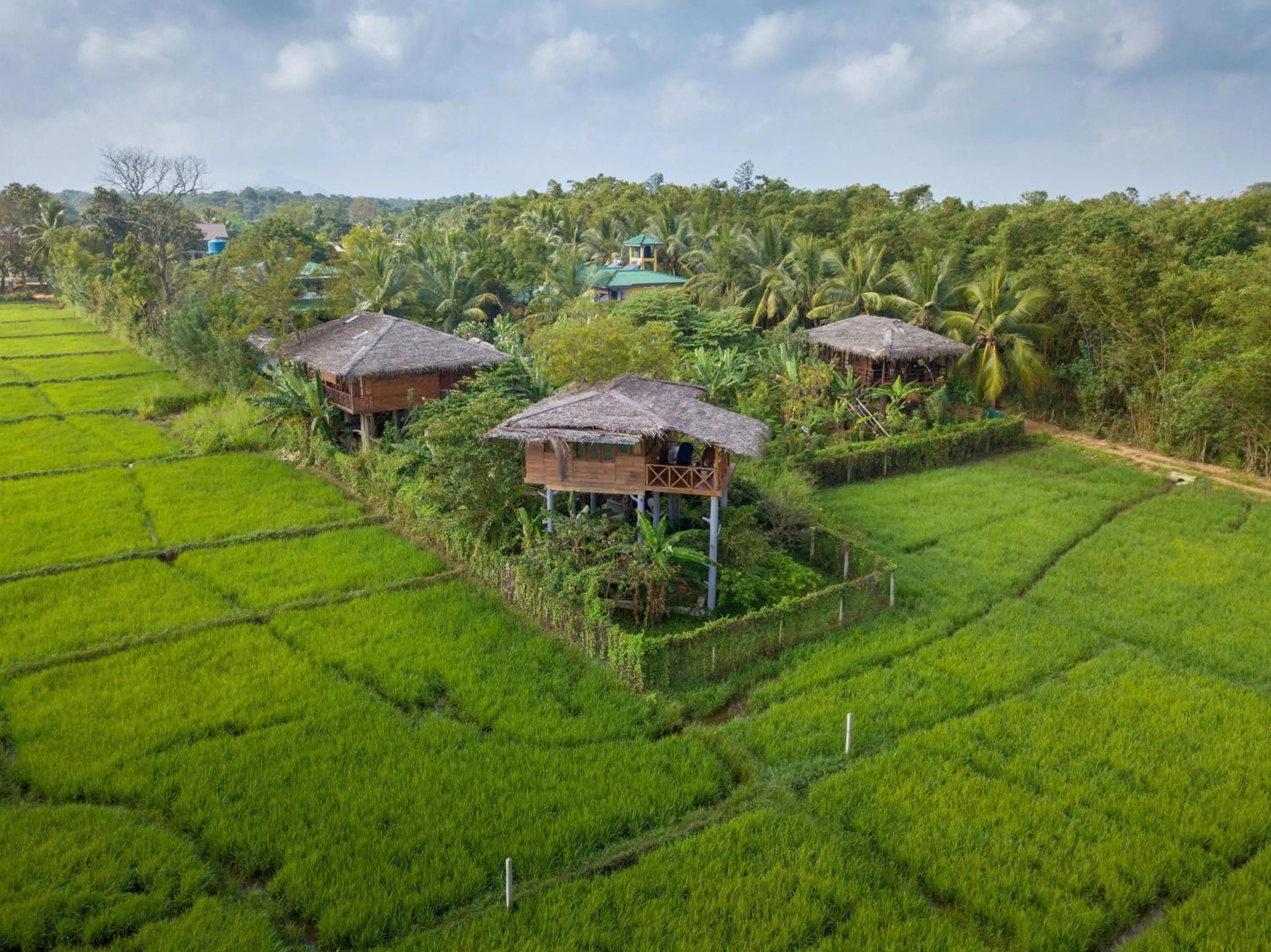 Bird's eye view in The Hideout Sigiriya