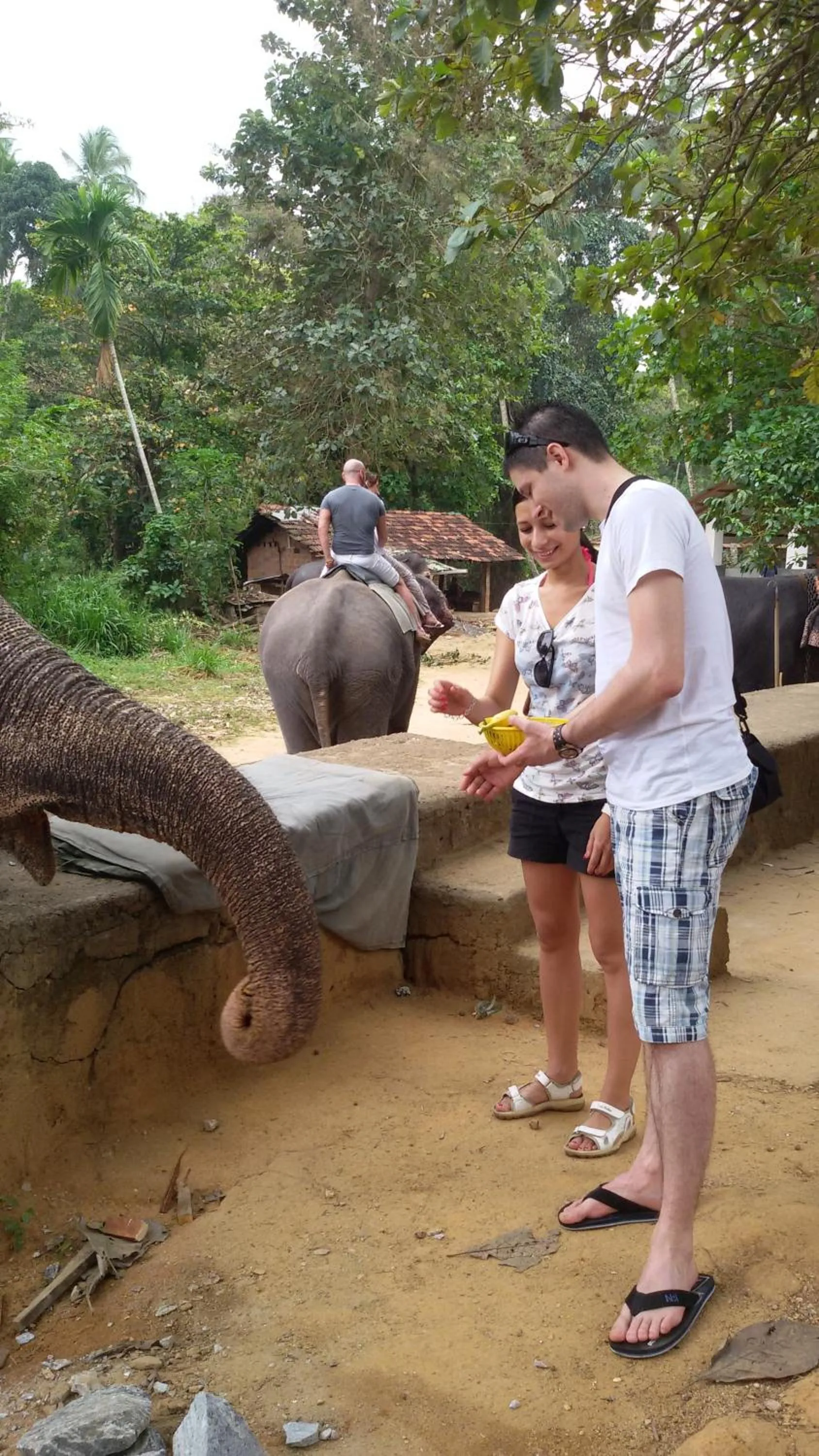 Area and facilities in Suwani Pinnawala Homestay