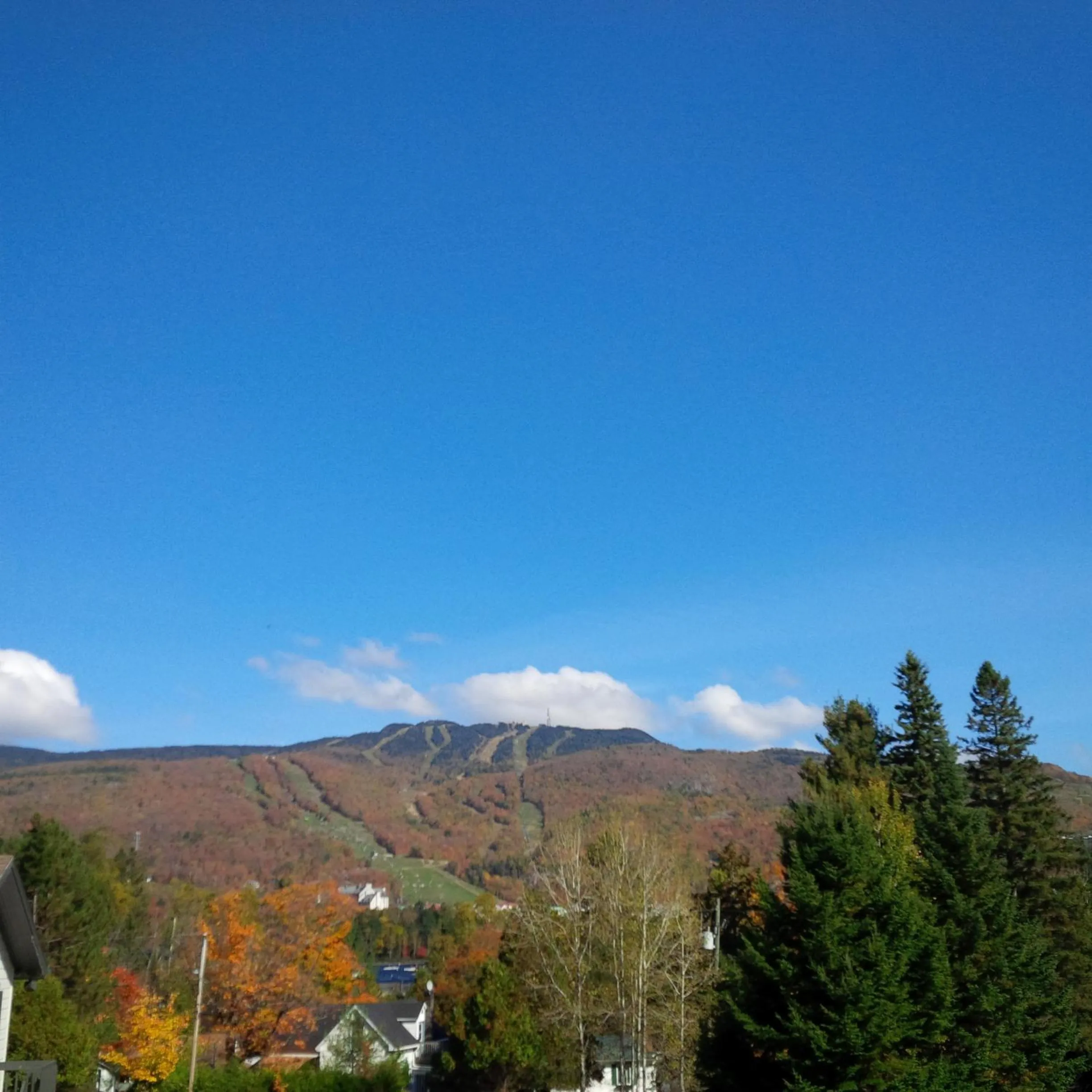 View (from property/room) in Les Chalets Sauvignon