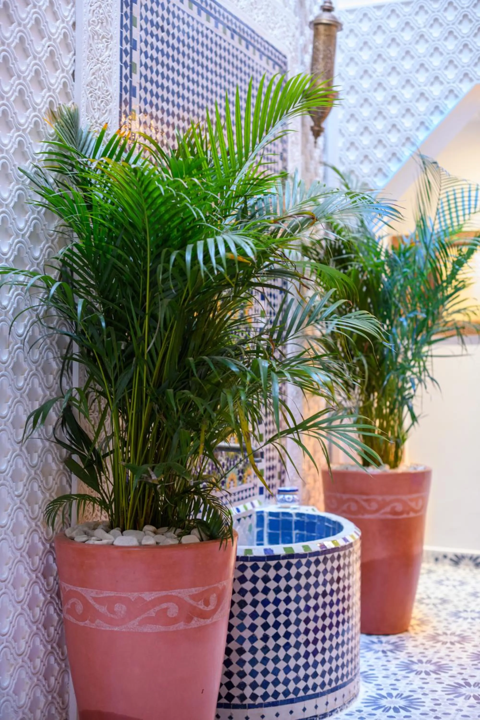 Luxurious Riad Center Rabat Dar Al Jeld