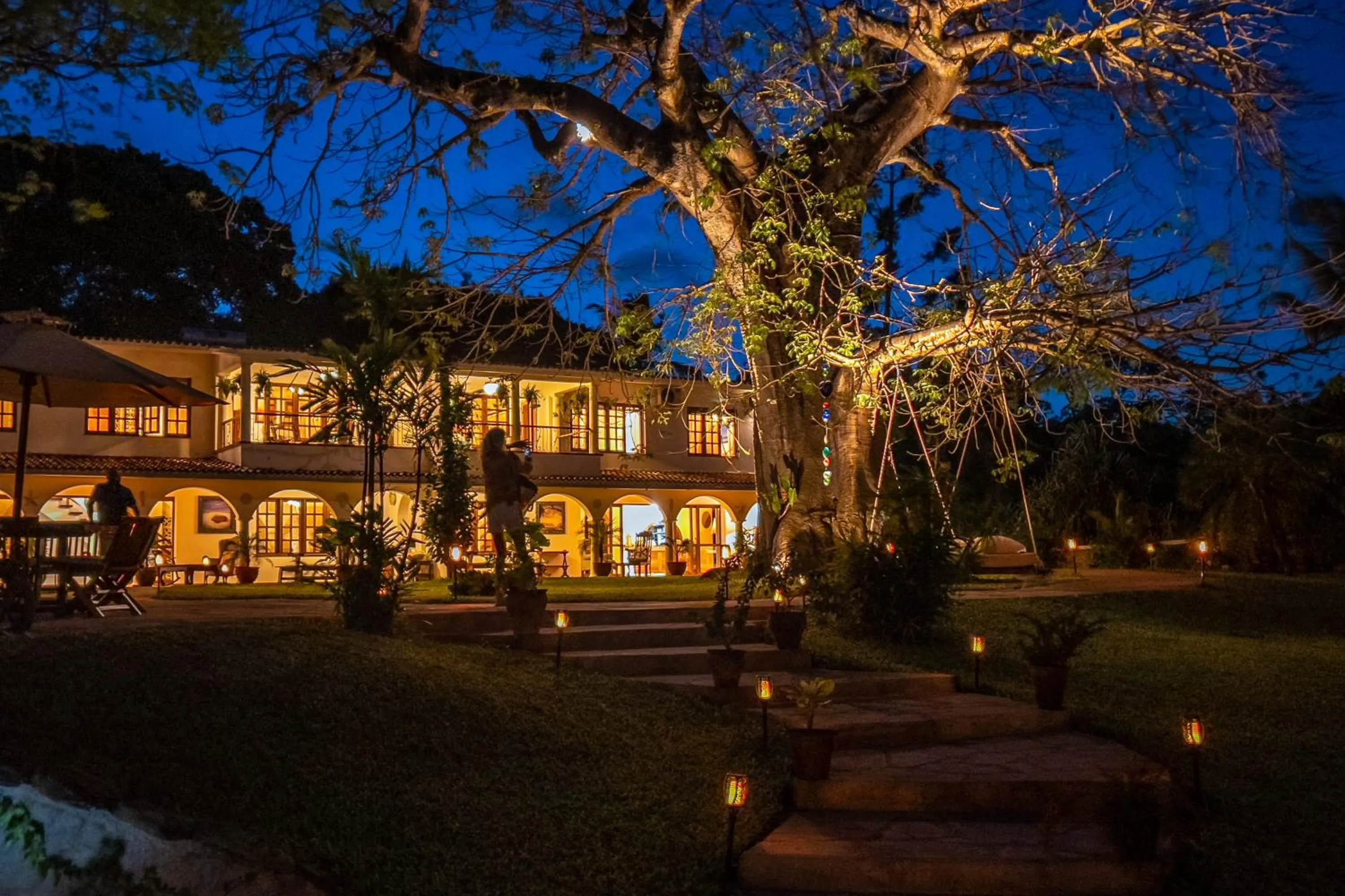 Property building in Lazy Days