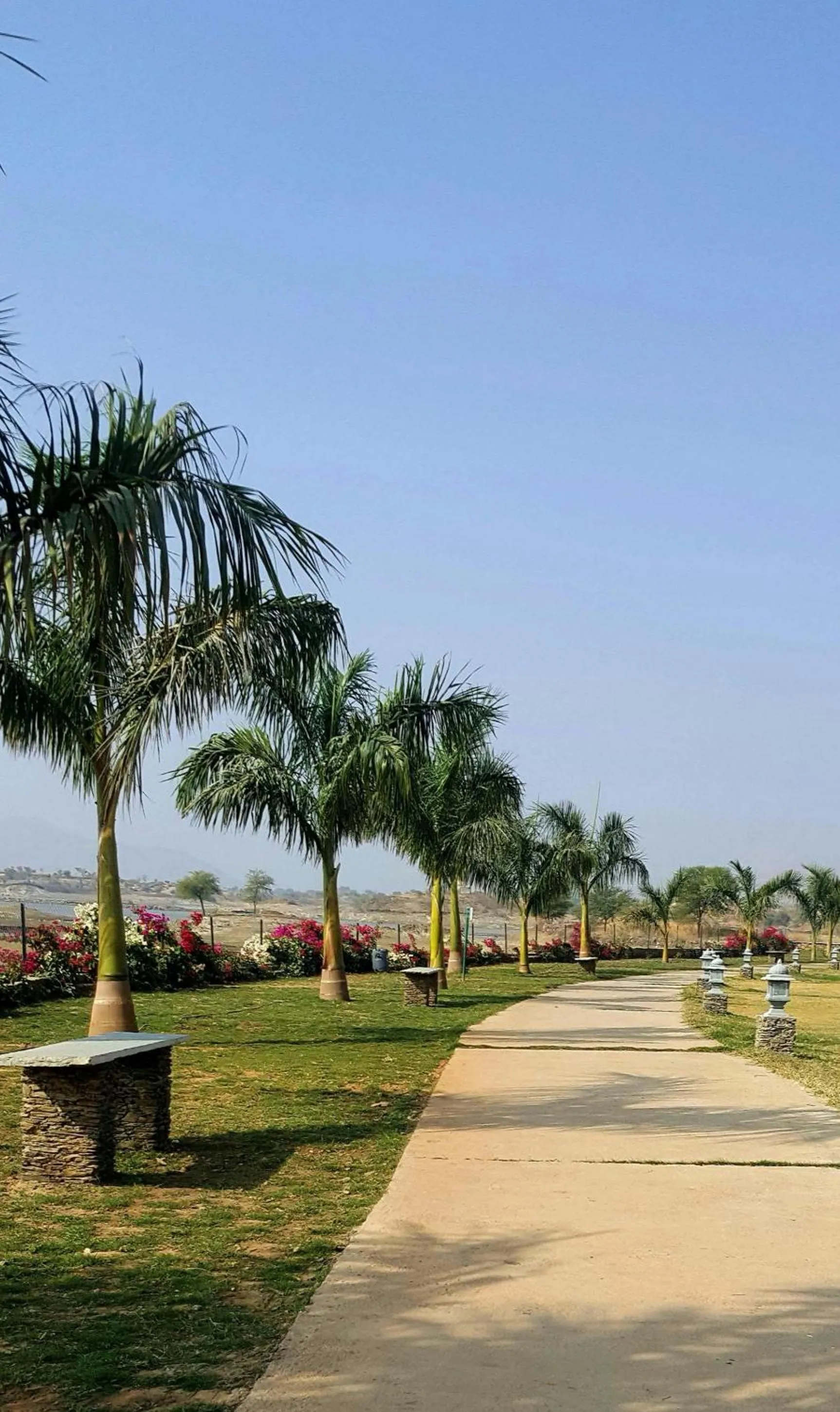 Garden view in TatSaraasa Resort & Spa, Udaipur