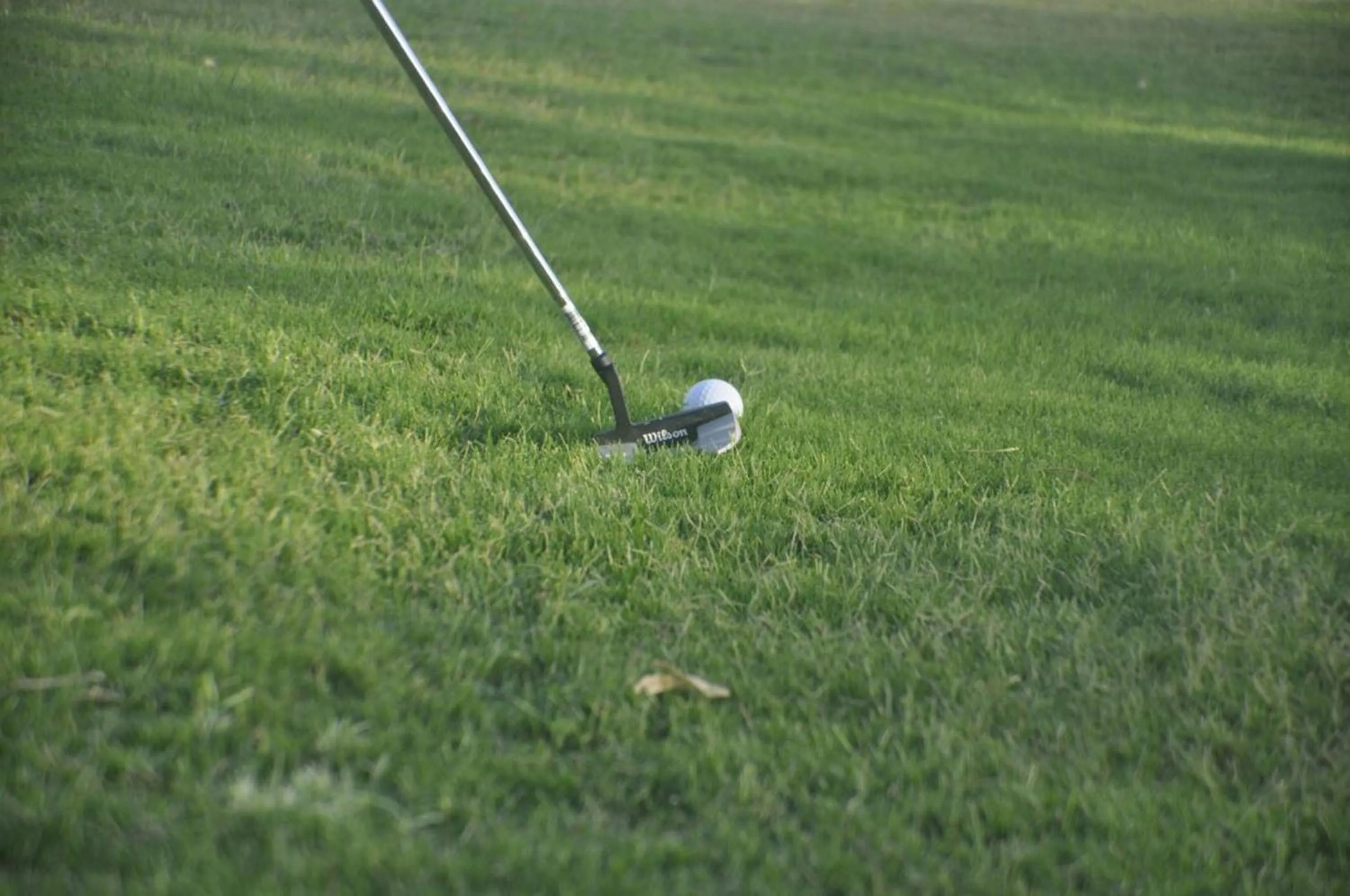 People in TatSaraasa Resort & Spa, Udaipur